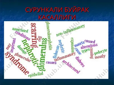 surunkali bujrak kasalligi — PPT