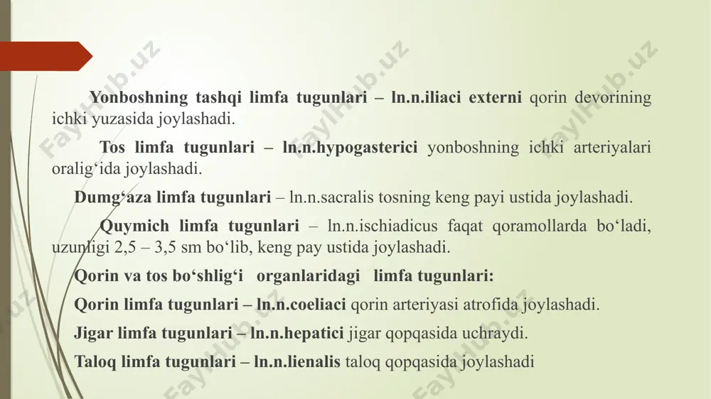 . hazm tizimi. quyonlar o‘txo‘r bo‘lib, uni kichik otga taqqoslaydilar, chunki quyon va ot ichaklarida o‘simlik ozuqani parchalanishi asosan yo‘g‘on ichakda kechadi. ammo otlardan farqi o‘laroq, quyonning haz tizimi ozuqani tez o‘tishiga va o‘simlik tolalarini tez parchalashga imkon beradi. bu hislat quyon kichik bo‘lishiga va natijada yirtqichlardan qochayotganda tez va chaqqon bo‘lishiga yordam beradi. buning aksi – ot ichaklarida o‘simlik tolalari bir necha vaqt qolib ketishi katta va xajmli fermentativ kamera rivojlanishiga olib kelib, tabiiyki tana o‘lchamlari ham katta bo‘lgan. quyonning oshqozon – ichak tizimi nisbatan uzun bo‘lib tana vaznidan 10-20% tashkil qiladi. og‘iz bo‘shlig‘i. og‘iz katta ochilmaydi va o‘tni kesish uchun mo‘ljallangan, til nisbatan katta bo‘lib, og‘iz bo‘shlig‘i uzun va egilgan, buning hammasi orqa tishlarni tekshirish va traxeyani anesteziya qilishni qiyinlashtiradi barcha tishlar hayvon hayoti mobaynida to‘xtovsiz o‘sadi. tish formulasi: jami – 28 ta. agar tishlar notekis bo‘lsa yoki ratsionda tolali ozuqa etarlicha bo‘lmaganda tishlar kerakligicha to‘g‘ri ishqalanmaydi va …