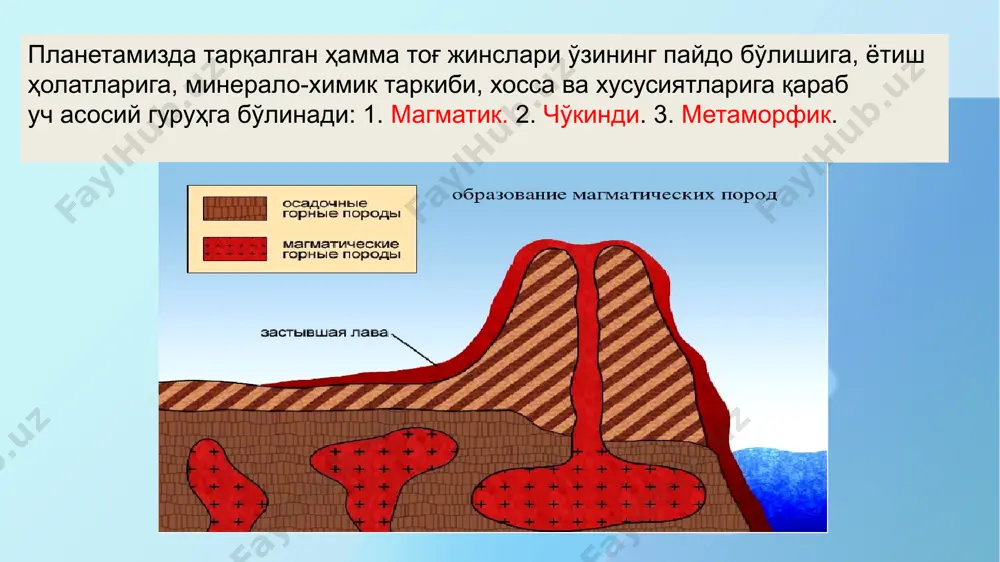li ko'tarilib chiqib yoyilishi va qotish natijasida vujudga keladi. effuziv jinslar effuziv jinslar intruziv jinslardan to'liq kristallanmaganligi, donador emasligi, shishasimon ko'rinishi bilan ajralib turadi. bunga birdan-bir sabab intruziv jinslari paydo bo'lish jarayonida magmaning sekin-asta sovishi bo'lsa, effuziv jinslar esa magmaning er usti muhitida juda tezlik bilan sovishi oqibatda paydo bo'ladi. shu bilan birga effuziv jinslari o'zlarining vujudga kelish sharoitiga qarab sof vulqon-effuziv jinslariga va terrigen-vulqon (piroklostik) jinslariga ajratiladi. sof vulqon-effuziv jinslari faqat magma massasining o'zini qotishidan, hech qanday qo'shimchalarsiz paydo bo'ladi. terrigen-vulqon jinslari intruziv va sof vulqon jinslaridan, struktura tuzilishida faqat magma jinsi va uning qotishidan hosil bo'lgan mineral donalar qatnashmay balki yon atrofdagi mavjud jinslar ham qatnashishi bilan farqlanadi. to'g'rirog'i, ana shu magma mahsulotiga, magma ko'tarilib chiqish yorig'i (yo'li)ni tashkil qilib turgan (aksariyat sof effuziv) tog' jinslari bo'laklari ham qo'shilib, qorishib qotadi. natijada o'ziga xos jinslar-tuflar, tufpeschanik (qumli tuflar), tuf konglomerotlar (shag'altosh tuflar), tuf brekchiyalar (chaqiq toshli tuflar) hosil …