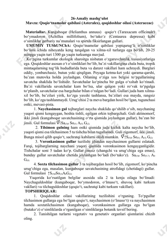 asi-pista. 1. naychasimon gul tojbarglari naycha shaklida qo‘shilib o‘sib, naychaning yuqori qismi kengaygan, beshta tishli, egilgan erkin tojbargchali. guli aktinomorf, ikki jinsli (kungaboqar savatchasining o‘rta qismida joylashgan gullar), ba’zan bir jinsli. gul formulasi sa(5)0 so(5) a(5) g(2) 2. tilsimon gulning ham ostki qismida juda kichik kalta naycha bo‘lib, yuqori qismi esa tilchasimon 5 ta tishcha bilan tugallanadi. guli zigomorf, ikki jinsli. bunga misol qilib qoqio‘t, sachratqi kabilarni olish mumkin. ↑s(5)0 so(5) a(5) g(2) 3. voronkasimon gullar tuzilishi jihatdan naychasimon gullarni eslatadi. farqi, tojibarglarning naychani yuqori qismida voronkasimon kengayganligidir. tishchalar soni 5 tadan ko‘p. gullar jinssiz (changchi va urug‘chiga ega emas), bunday gullar savatchalar chetida joylashgan bo‘ladi (bo‘tako‘z). sa(5)0 so(5-7) a0 g(0) 4. soxta tilchasimon gullar 3 ta tojibargdan hosil bo‘lib, zigomorf, ko‘pincha urug‘chiga ega, masalan, kungaboqar savatchasining atrofidagi (chetidagi) gullar. gul formulasi ↑s(5)0so(3)a0g(2) yuqorida ko‘rsatilgan belgilar asosida sila 2 ta kenja oilaga bo‘linadi: naychaguldoshlar (kungaboqar, bo‘ymodoron, o‘lmaso‘t, shuvoq kabi turkum …