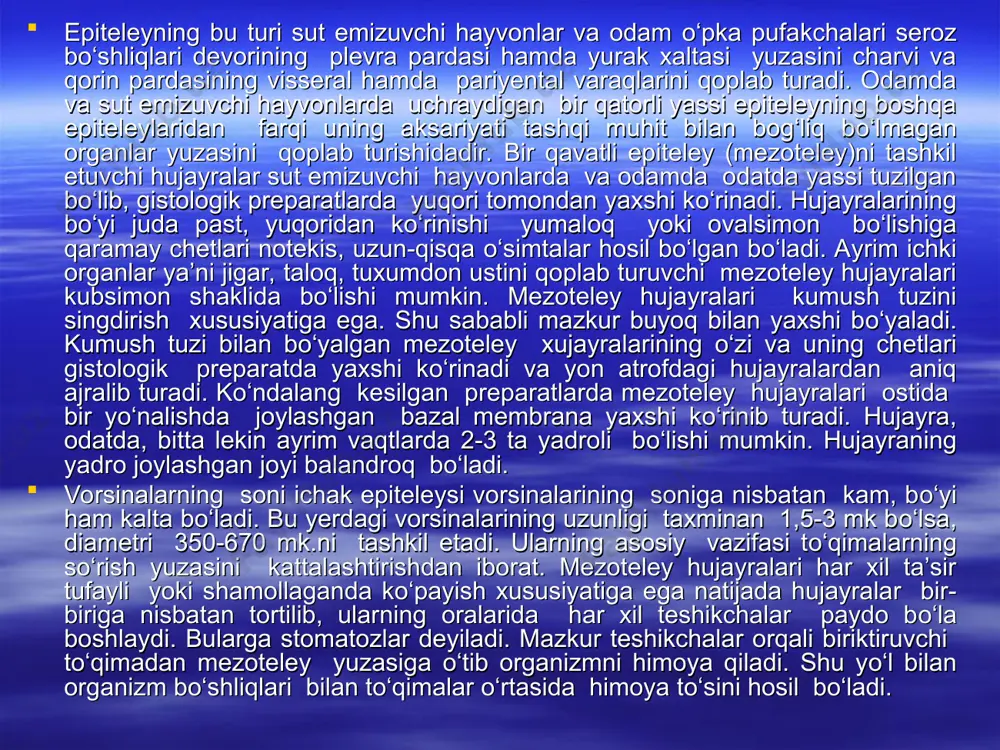 iteliy. bu epiteley turi ajratish organlari uchun xosdir. u odatda bо‘yrak siydik yо‘li va qovuq ichki yuzalarini qoplaydi. epiteliy hujayralari о‘z hajmini о‘zgartirib turadigan organlar yuzasini qoplab, bevosita konsentrlangan siydik moddasi ta’sirida bо‘ladi va о‘ziga xos morfologik tuzilishi bilan fiziologik moslashishga ega. bu epiteliyning hujayralari shakli qovuqning funksional holatiga bog‘liq. uni mikroskop ostida kо‘rganimizda ichki qavat bо‘lib joylashganligi kо‘zga tashlanadi. ya’ni bazal va yopqich qavat hujayralaridan iborat. bazal hujayralar kichik, metodik yо‘l bilan kо‘payish xususiyatiga ega. tо‘qimaning yuza qismi yassi hujayralardan iborat yopqich qavatni tashkil etadi. qovuq siydik bilan tо‘lib turgan vaqtda epiteliy tortilib, yupqalashadi, hujayralar о‘z shaklini о‘zgartiradi. qovuq bо‘shaganda esa yana о‘z xoliga qaytadi.. epiteley ostida uzunasiga va kо‘ndalangiga kesilgan zich biriktiruvchi tо‘qima va tomirlar yotadi. kо‘p qatorli hilpillovchi kiprikli epiteley. bu turdagi epiteliy sut emizuvchilarning traxeyasini ichki yuzalarini qoplab turadi. uning о‘ziga hos belgilari kо‘p qatorliligi kiprikchalari va qadahsimon hujayralarini bо‘lishidir. bu epiteliyni turini kо‘rish uchun preparatni …