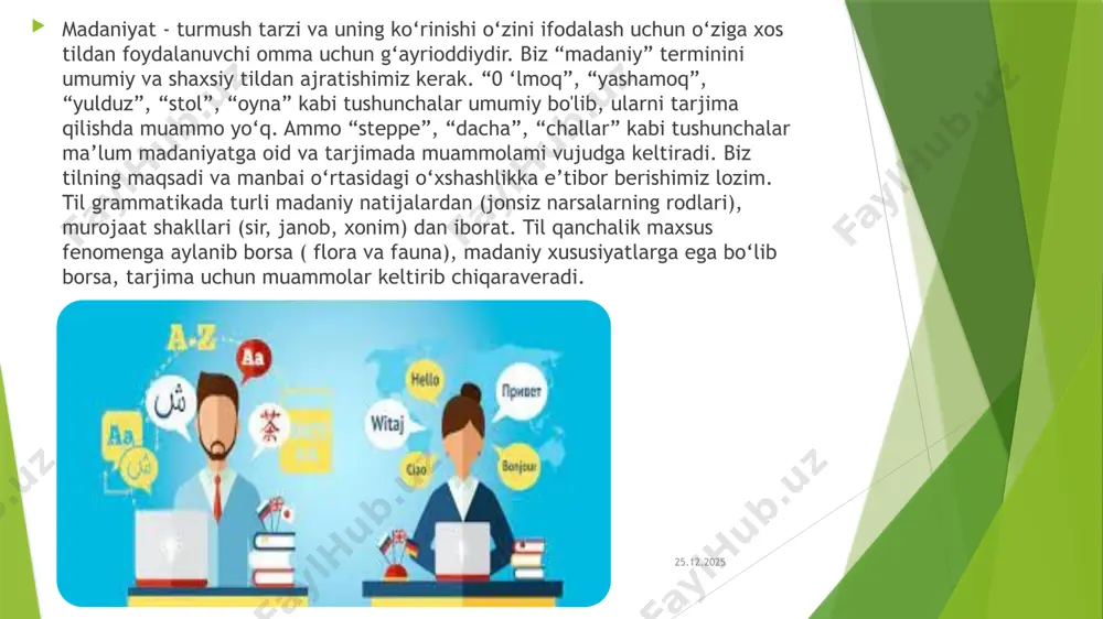 tarjimada madaniyatga oid muammolar - Page 3