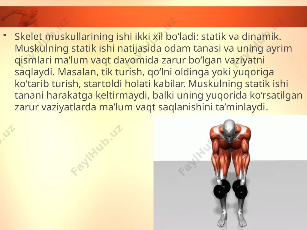 muskullarning ishlashi. 8 - sinf - Page 3