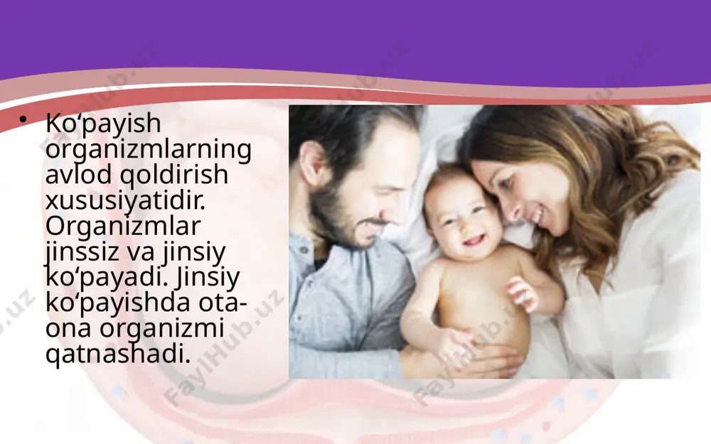ting. ayollar jinsiy organlari tuzilishini tushuntiring. hayz ko‘rish nima? image2.jpeg image3.jpeg image4.jpeg image5.jpeg image6.gif image7.jpeg image8.jpeg image9.jpeg image10.jpeg image11.jpeg image12.jpeg image13.jpeg image1.jpeg