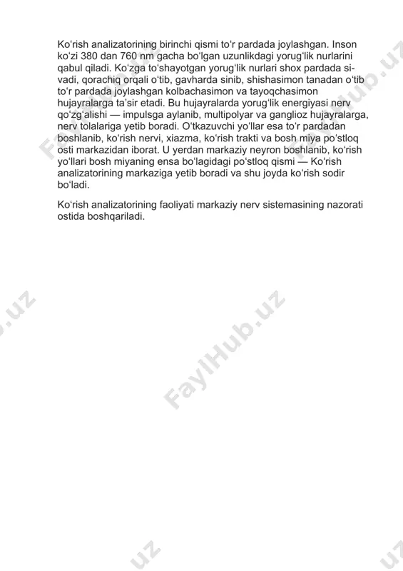 - odam va hayvonlarda koʻrish taʼsirotlari va axbortlarni qabul qilib, idrok etadigan va taqlil qilib beradigan murakkab neyrorotseptor sistema; asosiy analizatorlardgt biri. koʻrish analizatori 3 qismdan iborat: retseptor yoki periferik, oʻtkazuvchi yoʻllar va koʻrish markazi yoki markaziy qism. koʻrish analizatorining birinchi qismi toʻr pardada joylashgan. inson koʻzi 380 dan 760 nm gacha boʻlgan uzunlikdagi yorugʻlik nurlarini qabul qiladi. koʻzga toʻshayotgan yorugʻlik nurlari shox pardada si-vadi, qorachiq orqali oʻtib, gavharda sinib, shishasimon tanadan oʻtib toʻr pardada joylashgan kolbachasimon va tayoqchasimon hujayralarga taʼsir etadi. bu hujayralarda yorugʻlik energiyasi nerv qoʻzgʻalishi — impulsga aylanib, multipolyar va ganglioz hujayralarga, nerv tolalariga yetib boradi. oʻtkazuvchi yoʻllar esa toʻr pardadan boshlanib, koʻrish nervi, xiazma, koʻrish trakti va bosh miya poʻstloq osti markazidan iborat. u yerdan markaziy neyron boshlanib, koʻrish yoʻllari bosh miyaning ensa boʻlagidagi poʻstloq qismi — koʻrish analizatorining markaziga yetib boradi va shu joyda koʻrish sodir boʻladi. koʻrish analizatorining faoliyati markaziy nerv sistemasining nazorati ostida …