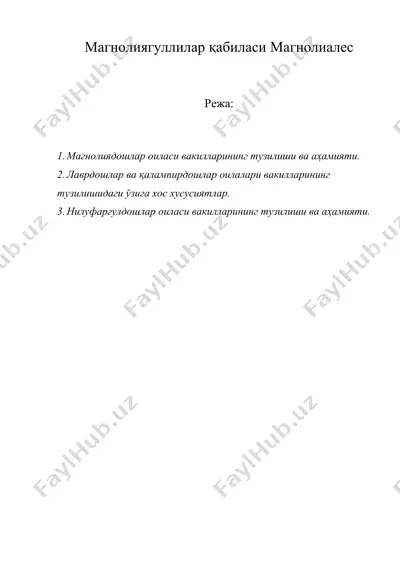 магнолиягуллилар қабиласи магнолиалес — DOC