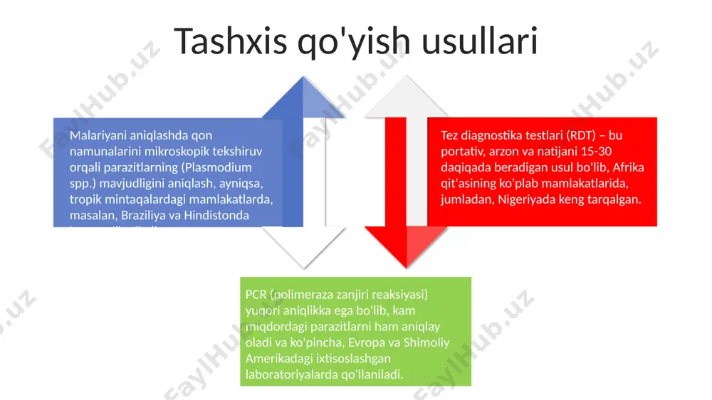 n sog'liqni saqlash tashkilotining ma'lumotlariga ko'ra, har yili 200 milliondan ortiq odam kasallanmoqda. malariyaning asosiy tarqalish yo'li – anopheles turkumiga mansub pashshalar orqali bo'lib, ularning 400 dan ortiq turi mavjud bo'lib, afrika, osiyo va janubiy amerikada keng tarqalgan. maliariyaning qo'zg'atuvchisi жаҳон соғлиқни сақлаш ташкилоти маълумотларига кўра, 2020 йилда африканинг суб-сахара минтақасида 241 миллиондан ортиқ малярия ҳолати қайд этилган. бу инфекциянинг кенг тарқалганлигини кўрсатади. p. falciparum турига мансуб малярия паразити энг хавфли ҳисобланади ва 2-4 кунлик инкубация давридан кейин юқори иситма, қалтироқ, камқонлик каби оғир асоратларга олиб келиши мумкин, ҳатто ўлимга ҳам сабаб бўлиши мумкин. маляриянинг қўзғатувчиси – plasmodium турига мансуб 4 хил паразит: p. falciparum, p. vivax, p. ovale ва p. malariae инсон организмида кўпаяди ва касалликнинг турли шаклларини келтириб чиқаради. sales 1st qtr 2nd qtr 3rd qtr 4th qtr 35 25 20 15 xavf omillari xavfli malyariya, ayniqsa, afrika mamlakatlarida, masalan, nigeriyada yiliga 200 000 dan ortiq odamning o'limiga …