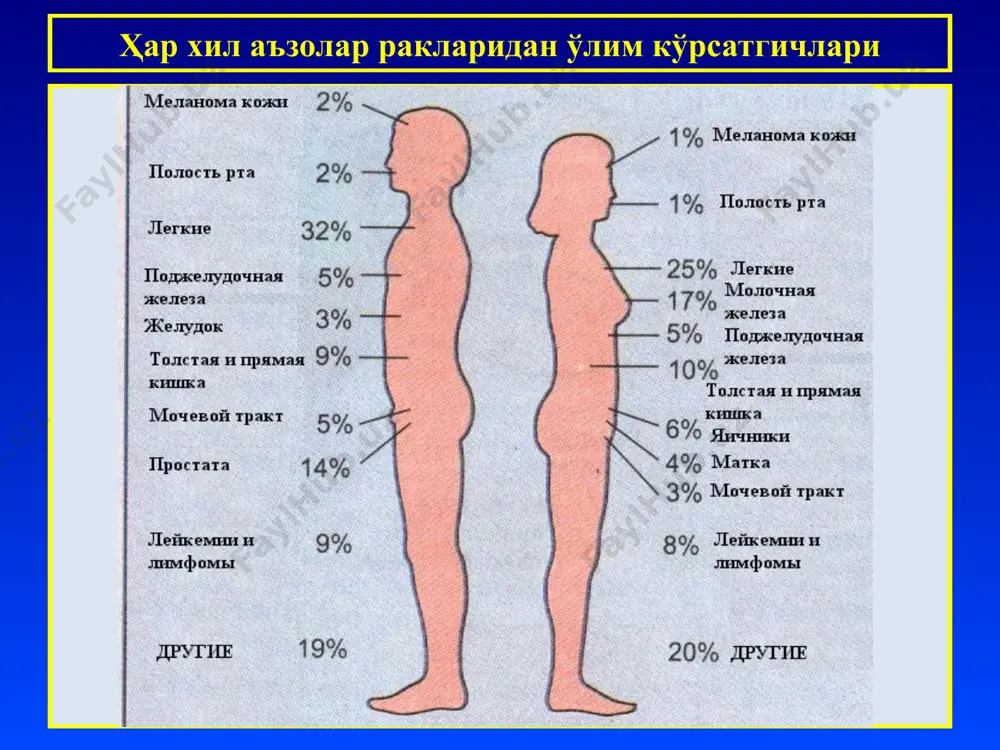 патологик анатомия - Page 5