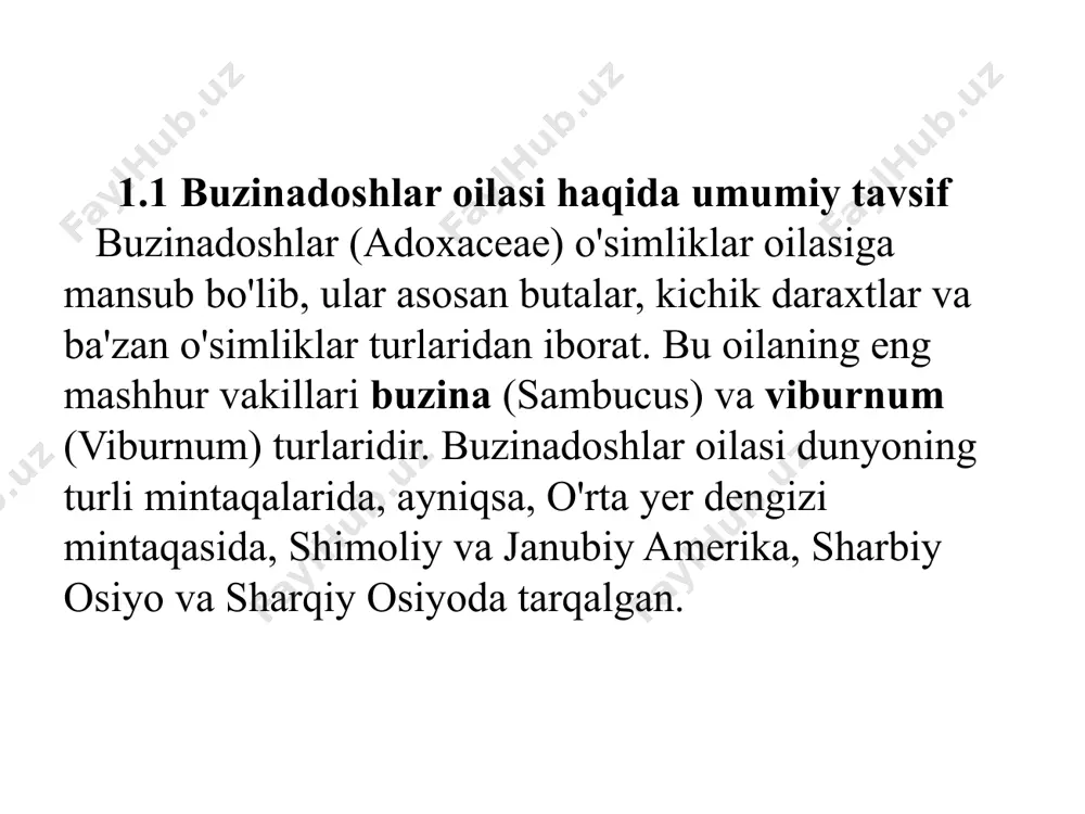 b, bu tuproqni mustahkamlashda va eroziyani oldini olishda katta ahamiyatga ega. ildiz tizimining yuzaga yaqin joylashuvi o'simlikning tuproq qatlamlarini ushlab turishda yordam beradi, bu esa eroziyaning oldini oladi. ko'plab buzina turlari o'z ildizlari bilan tuproqni mustahkamlashda va uning sifatini yaxshilashda muhim rol o'ynaydi. bu o'simliklar, ayniqsa, tog' yon bag'irlari yoki suv yo'llari bo'yida o'sish uchun juda mos keladi, chunki ular tuproqning barqarorligini ta'minlashda yordam beradi. 1 o‘zbekistonda tarqalgan buzinadoshlar oilasi vakillari o'zbekistonda buzina o'simliklarining (adoxaceae) turli vakillari mavjud bo'lib, ular tabiiy va madaniy landshaftlarda keng tarqalgan. ushbu oilaga kiruvchi o'simliklar asosan butalar va kichik daraxtlardir, va ular ko'plab ekosistemalarda muhim ekologik rol o'ynaydi. buzinadoshlar oilasining vakillari o'zining morfologik, ekologik va farmakologik xususiyatlari bilan ajralib turadi. o'zbekistonda eng ko'p tarqalgan buzina oilasining vakillari quyidagilardir: viburnum opulus (odraza, qizil buzina): bu o'simlik o'zbekistonda keng tarqalgan va asosan tog'li hududlarda o'sadi. viburnum opulus — yuqori 1,5–3 metr bo'lgan buta bo'lib, uning qizil rangdagi …