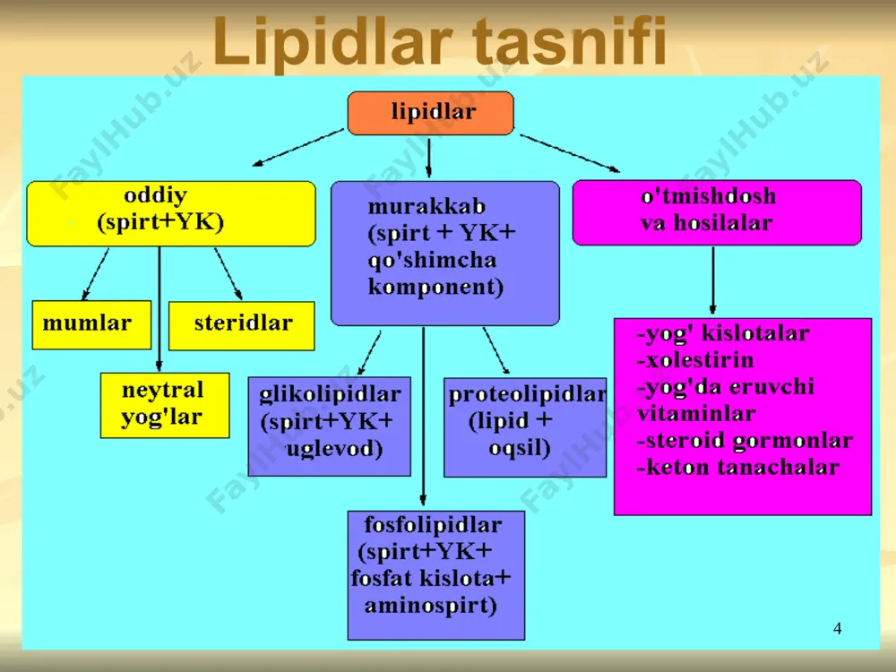 ni bir meyorda ushlab turishda, suv almashinuvida qatnashadi. 100 gr yog‘ oksidlanganda 107,1 ml suv hosil bo‘ladi yog‘ to‘qimasi lipazalari: -triglitseridlipaza -diglitseridlipaza -monoglitseridlipaza 29 30 tag parchalanishi shalola mexanizmi 31 yog‘ to‘qimalarida lipolizdan tashqari quyidagi jarayonlar kechadi: glikoliz glyukozaning pentozfosfat yo‘li bilan oksidlanishi krebs sikli yog‘ kislotalar β-oksidlanishi, yog‘ kislotalar sintezi, triglitseridlar hosil bo‘lishi va mobilizatsiyasi 32 adipotsitlar membranasida 2 turdagi retseptorlar mavjud: katexolaminlar va insulin. quyidagi omillar ta’sirida lipoliz kuchayadi: glyukagon, tiroksin, glyukokortikoidlar, stg, aktg, stress, fizik ish, ochlik, sovuq qotish. lipolizni pasaytiruvchi omillar: prostaglandinlar, nikotin kislot 33 yog’ kislotalar aktivlanishi 34 asil koa mitoxondriyaga transporti 35 yog’ kislotalarining β-oksidlanishi fermentlar: 1)asil –koa degidrogenaza, 2) enoil-koa gidrotaza, 3) 3-gidroksiasil-koa degidrogenaza, 4)tiolaza 36 toq uglerod atomiga ega bo‘lgan yog‘ kislotalaridan propionil-koa hosil bo‘ladi, u keyin suksinil-koaga aylanadi: 37 to‘yinmagan yog‘ kislotalarining oksidlanishi – enolaza ta’sir etadigan bosqichda qo‘shbog‘ o‘z joyida tursa, oksidlanish to‘yingan yog‘ kislotalarining oksidlanishi bilan bir xil boradi. …