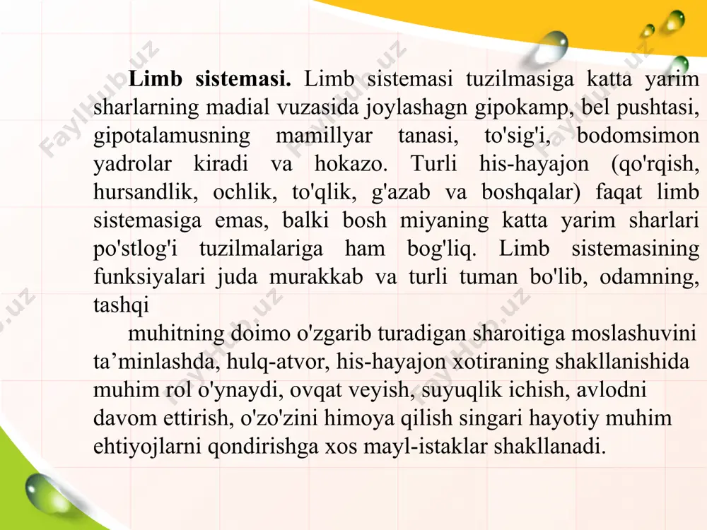 nerv markazining xususiyatlari - Page 5