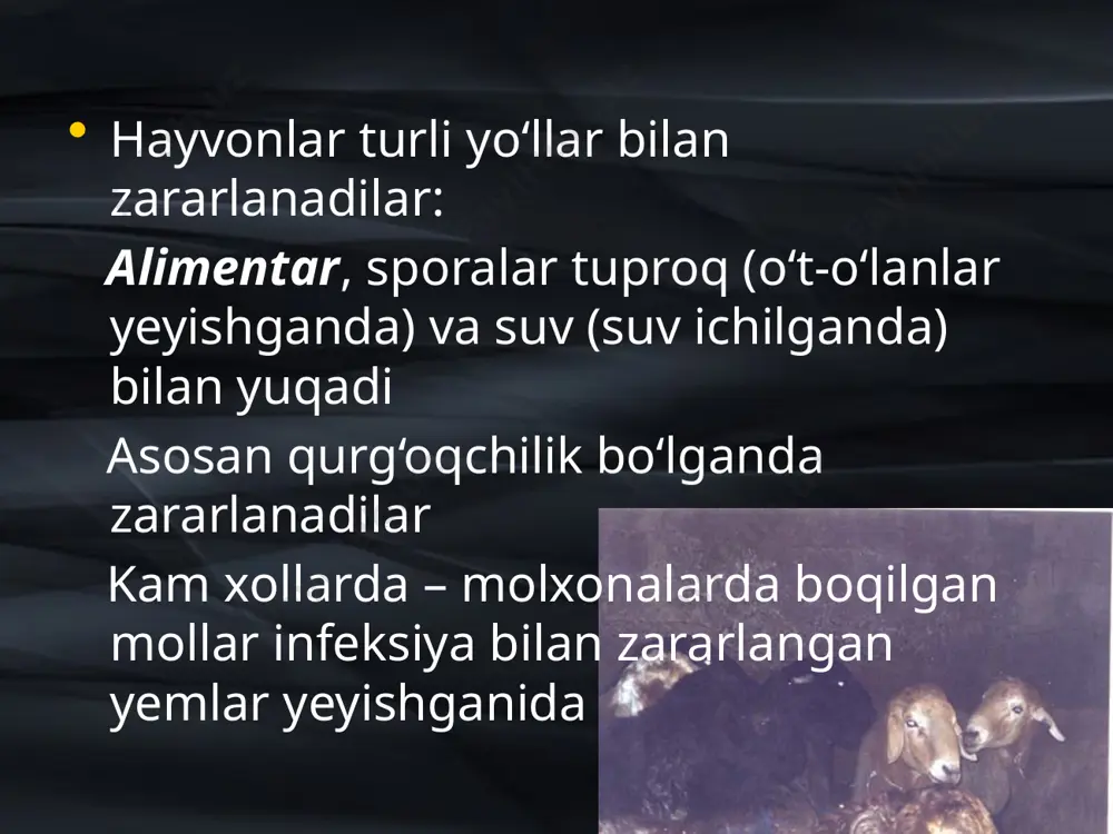 kuydirgi - Page 5