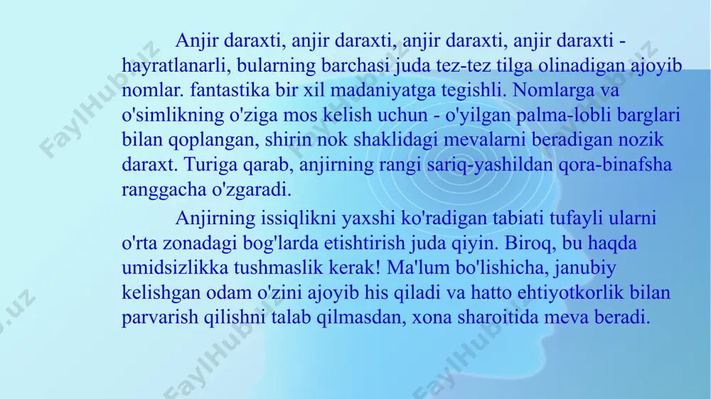 nchalik qulay emas. buyraklarning shishishidan oldin protsedurani bajarish tavsiya etiladi. yosh namunalarda 3-4 vertikal sog'lom kurtaklar qoladi. daraxtning balandligi 25-35 sm bo'lgandan so'ng, boshning yuqori qismini chimchilash kerak, shuning uchun yon kurtaklar rivojlanishini rag'batlantiradi. keyinchalik, pastki novdalar kuchliroq va kuchliroq bo'lishi uchun yuqori qavatning kurtaklari 1/3 ga qisqartiriladi. to'g'ri azizillo natijasida asosiy tartibdagi 3-4 vertikal kurtaklar va bir nechta yon novdalardan iborat chiroyli yam-yashil tojni olish kerak. an'anaviy azizillo bilan bir qatorda, yana bir variant bor: anjir daraxtining toji fan kabi shakllantirilishi mumkin. prinsip bu usul apikal kurtakning dastlabki chimchilashidan va keyinchalik toj ichiga yo'naltirilgan novdalarni olib tashlashdan iborat. asosiy kurtaklar tekislikka gorizontal va bir-biriga parallel bo'lishi kerak. fan azizillo tufayli mevali kurtaklar soni sezilarli darajada oshadi va daraxt ajoyib darajada jozibali ko'rinadi. anjirni buta sifatida etishtirish mumkin xandaq yo'li, qish uchun esa u qoplanishi kerak. buning uchun chuqurligi 30 sm, kengligi 60-70 sm bo'lgan xandaq qaziladi.uning pastki qismida chuqurligi …
