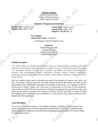 gender issues and feminist social work course — DOCX