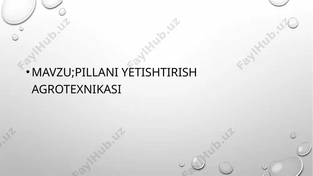 chilikda yuqori oʻsish surʼatlariga erishildi, pilla yetishtirish deyarli 3 baravarga koʻpaydi. 1991-yilda respublikada 33,8 ming tonna pilla tayyorlandi. 1993-yildan pilla yetishtirish davlat buyurtmasidan chiqarilib, uni harid qilish erkin kelishilgan narxlar asosida olib boriladi. respublikada pillachilik tarmogʻida 13 hududiy (viloyat) "pilla" aksiyadorlik birlashmasi, 122 tuman "pilla" aksiyadorlik jamiyatlari, tut urugʻi, niholi, koʻchatlari yetishtirishga ixtisoslashgan 10 shirkat xoʻjaligi, 3 ta naslli urugʻchilik zavodi (andijon, samarqand, fargʻona), 13 pillachilik - tuxumchilik zavodi (andijon, asaka, buxoro, shahrisabz, navoiy, namangan, samarqand, toshkent, kattaqoʻrgʻon, fargʻona, qoʻqon, urganch, xoʻjaobod), 8 pillakashlik korxonalari (toshkent "tola", "margʻilon ipagi", fargʻona "buyuk ipak yoʻli", samarqand "hujum", "buxoro ipagi", "namangan ipagi", "bulokboshi ipagi", "xorazm ipagi") aksiyadorlik jamiyatlari faoliyat koʻrsatadi. 2002-yilda respublika pillachilikda 21500 tonna tirik pilla, 8290,2 tonna quruq pilla tayyorlandi, 1003,2 tonna xom ipak, 130 tonna yigirilgan ipak ipi ishlab chiqarildi, 415 ming quti ipak qurti tuxumi tayyorlandi, 1,5 million dona tut koʻchati yetishtirildi. tarmoqda 19 mingga yaqin xodimlar band. tutchilik, …