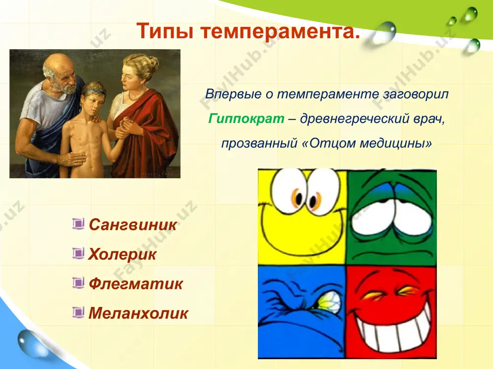 темперамент в человеке - Page 3