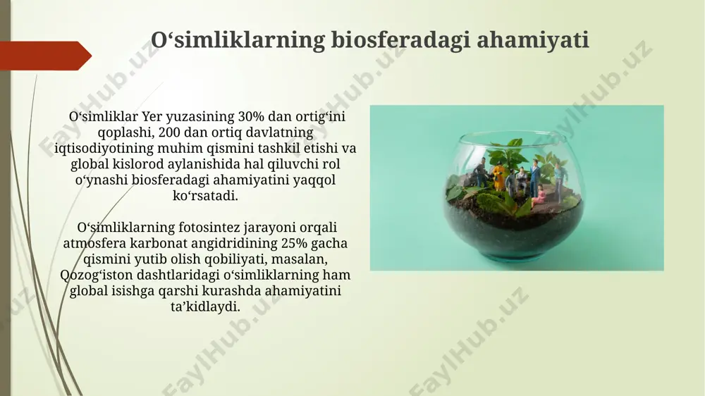 o‘simliklarning inson va biosferada tutgan o‘rni va muhofazasi - Page 5