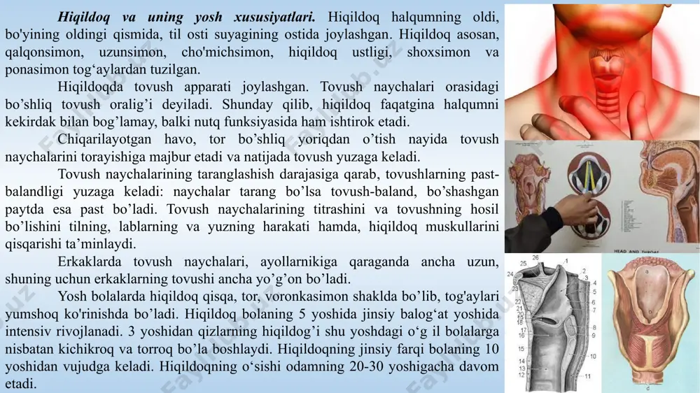 jarilishida faol rolni nafas muskullari o’ynaydi. nafas olishda tashqi qovurg’alararo muskullar va diafragma qisqaradi. qovurg’alararo muskullar qovurg’alarni biroz ko’taradi va ularni atrofga kengaytiradi. bu paytda ko’krak qafasini hajmi ortadi. diafragma qisqarganida uning gumbazi tekislanadi, bu esa ko’krak qafasini hajmini kenagyishiga olib keladi. chuqur nafas olinganida ko’krak va bo’yinning boshqa muskullari ham ishtirok etadi. tashqi va ichki nafas olish. nafas ikkita tashqi va ichki nafas olishga bo‘linadi. tashqi nafas olish deb o‘pka bilan qon o‘rtasidagi gaz ahnashinuviga aytiladi. ichki nafas olish yoki to‘qimalararo nafas olish deb, hujayralarda modda almashinuvini ta’minlovchi to‘qimalar bilan qon o‘rtasidagi gaz almashinuviga aytiladi. tashqi muhitdan olinayotgan nafas havosida 20,95% kislorod, 0,03- 0,04% karbonat angidrid gazi, 79,02% azot, 0,47% suv parlari bo’ladi. nafas bilan chiqarilgan havo tarkibida esa 16,3% kislorod, 4% karbonat angidrid, 79,1% azot bo’ladi. havoda kislorod miqdori asosan bir me’yorda saqlanadi, yuqori balandlikda biroz o'zgaradi. bolaning yoshi qancha kichik bo’lsa chiqarilayotgan va alveolyar havolar tarkibida karbonat …