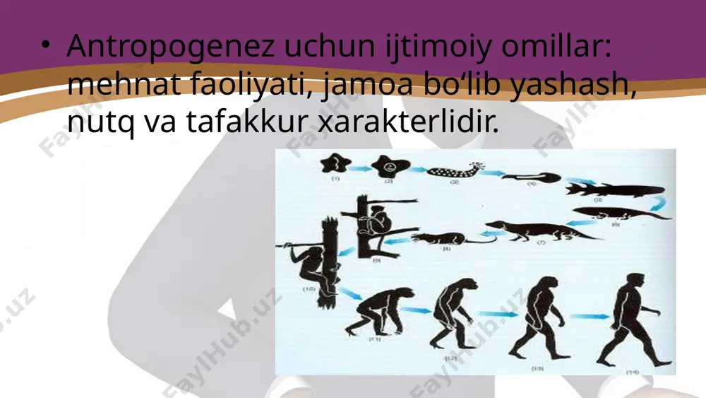odam evolutsiyasini harakatlantiruvchi kuchlari. 10 - sinf - Page 5