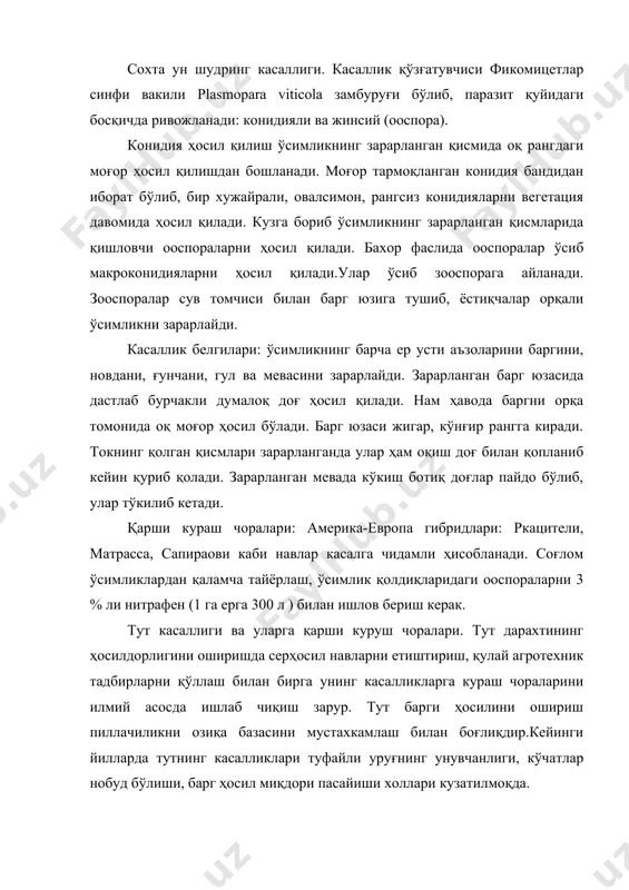 и, ғунчани, гул ва мевасини зарарлайди. зарарланган барг юзасида дастлаб бурчакли думалоқ доғ ҳосил қилади. нам ҳавода баргни орқа томонида оқ моғор ҳосил бўлади. барг юзаси жигар, кўнғир рангга киради. токнинг қолган қисмлари зарарланганда улар ҳам оқиш доғ билан қопланиб кейин қуриб қолади. зарарланган мевада кўкиш ботиқ доғлар пайдо бўлиб, улар тўкилиб кетади. қарши кураш чоралари: америка-европа гибридлари: ркацители, матрасса, сапираови каби навлар касалга чидамли ҳисобланади. соғлом ўсимликлардан қаламча тайёрлаш, ўсимлик қолдиқларидаги ооспораларни 3 % ли нитрафен (1 га ерга 300 л ) билан ишлов бериш керак. тут касаллиги ва уларга қарши куруш чоралари. тут дарахтининг ҳосилдорлигини оширишда серҳосил навларни етиштириш, қулай агротехник тадбирларни қўллаш билан бирга унинг касалликларга кураш чораларини илмий асосда ишлаб чиқиш зарур. тут барги ҳосилини ошириш пиллачиликни озиқа базасини мустахкамлаш билан боғлиқдир.кейинги йилларда тутнинг касалликлари туфайли уруғнинг унувчанлиги, кўчатлар нобуд бўлиши, барг ҳосил миқдори пасайиши холлари кузатилмоқда. кузатишларнинг кўрсатишича тут ўсимлигида 40 дан ортиқ касалликлар аниқланган. …