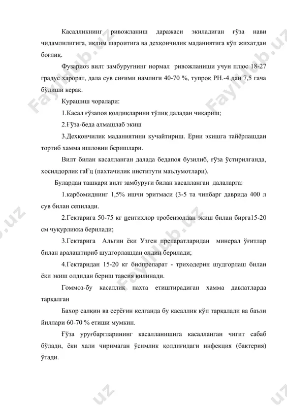 ола касалликлари хозирги вақтда кўсак ва тола касалликлари ичида кўп тарқалганлари: пушти чириш, қулранг чириш, тола товланиши мукороз клейний бактериоз, альтернариоз, қора шира, кўсак гоммози. пушти чириш замбуруғи кусакни пушти парда билан қоплайдию кўсакнинг касалланиш муддатига қараб ё очилади, ё чала очилиши мумкин. замбуруғ кўсакдан толага ўтиб пушти рангга киради. кучли касалланган тола хам чигит хам яроқсиз холга киради, чигитдан кам мой чиқади. мукароз хали очилмаган кўсак сирти, замбуруғлар (моғор) билан қопланади. (агар кўчат сони қалин бўлса, ер зах бўлса ва х.) касалланган кўсак чаноқлари бўшашиб қолади ва у очилган сари замбуруғ толага ўтиб уни, тўқ қўнғир рангга киритади. касал кўсак тупда омонат ушлаб турилади ва кўсак банди томонидан енгил очила бошлайди. касал кўсакларда ўлик тола кўп бўлиб, унинг пишиқлиги ва чигит сифати кескин пасайиб кетади. альтернариоз замбуруғи гўзани барги, кўсак айниқса чаноқ пахтани зарарлайди .касалланган кўсак сиртида доира шаклида тўқ кўк рангда доғ пайдо бўлади, кейинчалик у кўпайиб бориб …