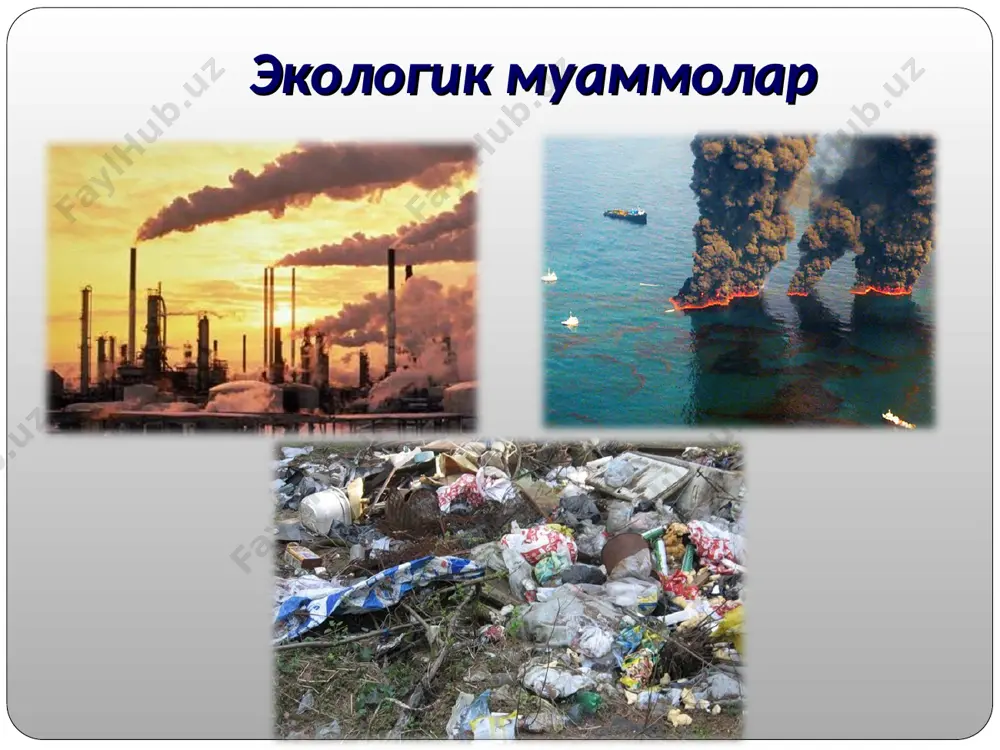 ҳозирги замон глобал экологик муаммолари - Page 4