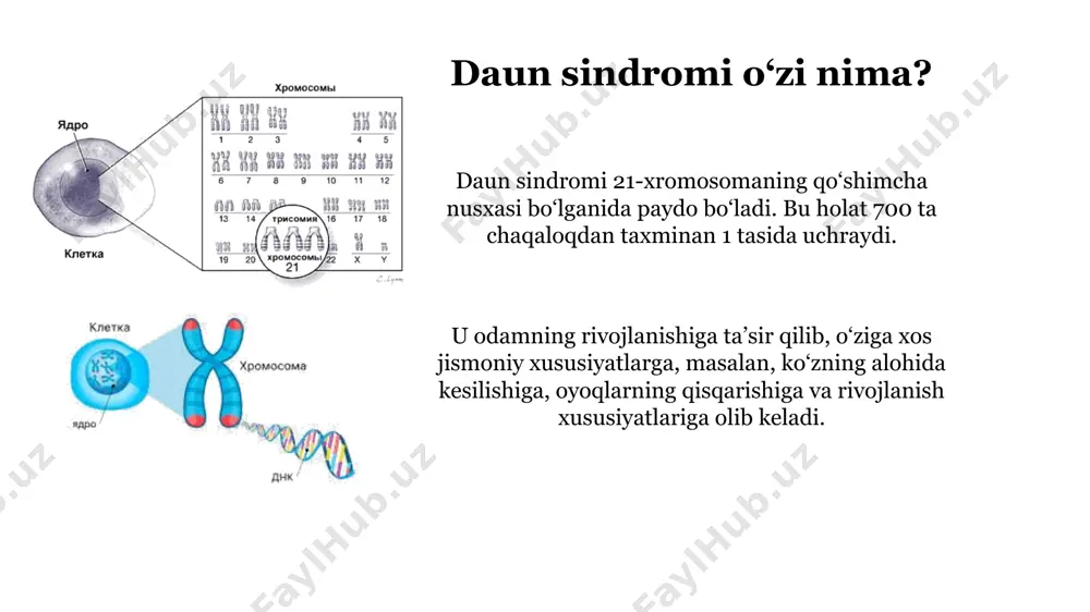 daun sindromi bo‘lgan bolaning oilasi mutaxassislar va ijtimoiy xizmatlardan yordam va ma’lumotlarga muhtoj. inklyuziv jamiyat daun sindromi bilan og‘rigan odamlar o‘zlarini to‘laqonli a’zo deb his qiladigan inklyuziv jamiyatni yaratish muhim vazifa hisoblanadi. daun sindromining bola rivojlanishiga ta’siri jismoniy rivojlanish daun sindromi bo‘lgan bolalarda jismoniy rivojlanish sekinlashishi mumkin, ammo maxsus jismoniy terapiya yordamida ular sezilarli muvaffaqiyatlarga erishishlari mumkin. nutqni rivojlantirish nutq sekinroq rivojlanishi mumkin va daun sindromi bo‘lgan bolalar nutq terapiyasiga muhtoj bo‘lishi mumkin. kognitiv rivojlanish daun sindromi bo‘lgan bolalarda kognitiv rivojlanish sekinlashishi mumkin, ammo maxsus o‘qitish usullari va erta aralashuv yordamida ular muvaffaqiyatli o‘rganishlari mumkin. ijtimoiy rivojlanish daun sindromi bo‘lgan bolalar ko‘pincha ajoyib ijtimoiy ko‘nikmalarga ega va odamlar bilan muloqot qilishdan mamnun. xulosa: inklyuziv kelajak uchun birgalikda daun sindromi - bu bolaning to‘laqonli hayotiga to‘sqinlik qilmaydigan xususiyatdir. erta aralashuv, oilani qo‘llab-quvvatlash va inklyuziv jamiyat daun sindromi bo‘lgan har bir bolaga o‘z salohiyatiga yetishish uchun o‘sishga va rivojlanishga yordam beradi. image1.jpeg …