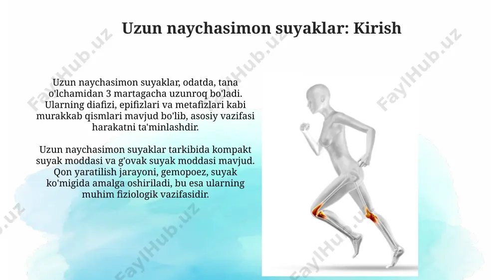 uzun naysimon suyaklar - Page 4