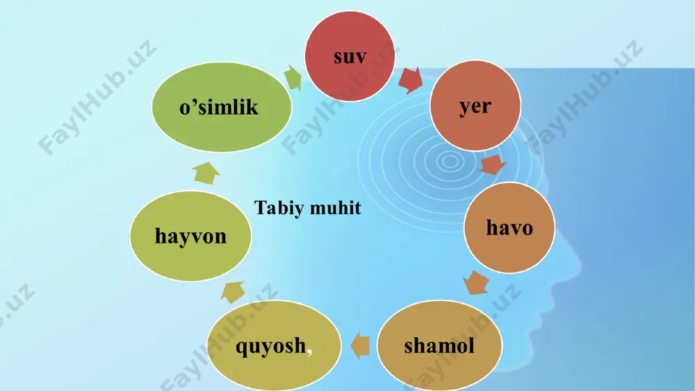 ish jarayoni organizmlarni ular hayotidagi o‘rni va tashqi tuzilishini ifodalaydi. buni biz ekologik nisha (joy) bilan ham izohlashimiz mumkin. ya’ni, qancha ekologik tur mavjud bo‘lsa, shuncha ular uchun yashash muhiti mavjud bo‘ladi. “nisha” terminifransuzcha “niche” – chuqurlashuv, degan ma’noni ham anglatib, bu nafaqat yashash joyi, balki tabiatda turning o‘rni, biologik jamoadagi funksional roli, tashqi muhit omillariga bardoshliligi ham hisoblanadi kooperatsiya - ikki organizm bir-birlari bilan kooperatsiya hosil qiladilar. bunday kooperatsiya ikki organizm uchun ham ustunliklarga ega. ekologik nisha evolyutsiya jarayonida organizmlarning ekologik omillarga aniq bir miqdor chegarasida moslashuv qobiliyati shakllanadi. organizmlarning bu xususiyati ekologik chidamlilik deb ataladi. № yashash muhiti minimum maksimum tebranish amplitudasi 1. quruqlik -70,0 +55,0 125,0 2. dengiz -3,5 +36,0 39,5 3. chuchuk suv 0,0 +93,0 93,0 organizmlarning o’sishi va rivojlanishi birinchi navbatda ekologik minimum yoki ekologik maksimum qiymatlariga yaqinlashuviga muhit omillariga bog’liq organizmlarning ekologik chidamliligi (valentligi) va olerantligi bo’yicha organizmlarning tasnifi. № organizmlar belgilari bo’yicha tasnifi …