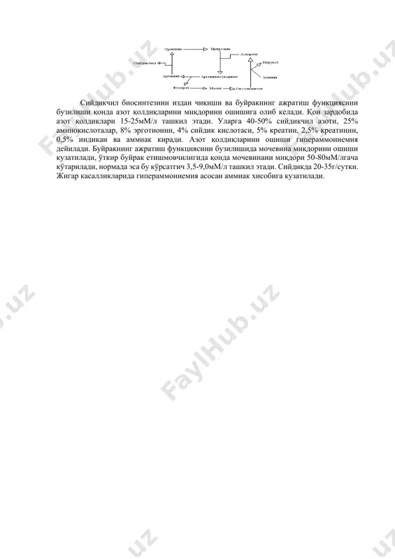 кечади 2-чи босқичда гуанидинацетатни метилланиши кузатилади, метил гурухи донори бўлиб с-аденозилметионин қатнашади, жигар ва ошқозон ости безида кечади. хосил бўлган креатин қон орқали мушакларга боради, атф ва креатинфосфокиназа ферменти таъсирида фосфорилланади ва креатинфосфатни хосил қилади. бу модда мушакларда энергетик вазифани ўтайди ва дефосфорилланиши натижасида креатининни хосил қилади. тахминан, организмдаги 2% креатин креатининга айланади. мушакларда креатин миқдори 25-55 г/кг, юрак тўқимасида – 15-30 г/кг, мия тўқимасида – 10-15 г/кг тенг. сийдик орқали креатин фақат болаларда чиқади; креатинин 1 суткада 4,4-17,6 ммоль катталарда ажралади. тана мушаклари массаси билан креатининни ажралиши орасида боғланиш мавжуд. агар сийдик орқали креатин ажралса мушак дистрофиясидан далолат беради. бунда мушакларда креатинфосфокиназа ферменти фаоллиги сусаиб кетади. аммиакнинг асосий қисми, тахминат 85%, жигарда сийдикчил синтези орқали захарсизлантирилади. бу циклик жараён бўлиб орнитин цикли деб аталади. бу жараён 3 босқичдан иборат бўлиб, биринчи босқичида глутаминнинг амминий гурухини карбонат ангидриди ва 2 атф иштирокида карбамоилфосфатсинтаза ферменти таъсирида карбомоил фосфат синтезланади. бу ферментнинг …
