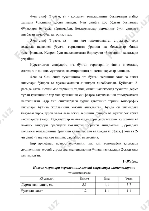илмаларга нисбатан ингичка, бузоқларнинг соч қоплами катта шохдаги ҳайвонларга қараганда қалинроқ, лекин жуни ингичка ва нафис, шунинг учун бузоқ терисидан тайёрланган тери мереяси силлиқ ва нозик. катта шохли моллар бузоқларининг териси ёшига қараб, барра бузоқ териси , эмадиган бузоқ териси (упука) ва бузоқ териларига бўлинади. барра бузоқ териси – вазнидан қатъи назар туғилмаган ёки ўлик туғилган (ёриб олинган ёки вақтидан олдин тушган) бузоқ териси. барра бузоқ териси гўлак ва жунлига ажратилади. гўлак-барра бузоқ терисининг жуни эндигина ўсишни бошлаган; жунли барра бузоқ териси узунлиги 25мм дан юқори бўлган силлиқ жун қопламига эга. терисининг майдони ўртача 40-50дм2, сағрисининг қалинлиги 1,2-1,5мм атрофида. териларнинг эпидермиси анча қалин. (тери қалинлигидан 3-4%), коллаген боғламларининг тўқимаси бўш. бу турдаги хом ашё кам учрайди. эмадиган бузоқ териси (упука) – ҳали ўсимлик озиғига ўтмаган, бирламчи жун қоплами билан турган бузоқ териси, унинг майдони 40дм2 гача боради, сағри соҳаси қалинлиги 1,3 мм дан 2,5 мм гача, эпидермиси бутун тери қалинлигининг …