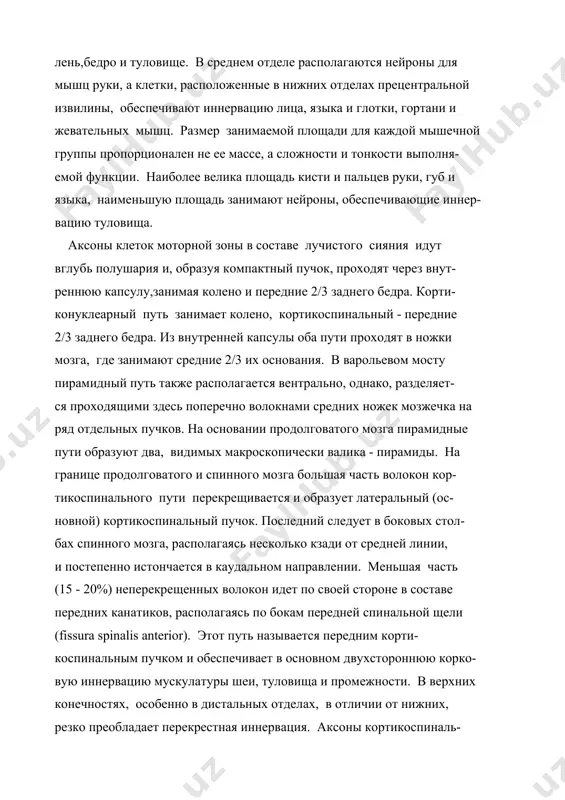 ев руки, губ и языка, наименьшую площадь занимают нейроны, обеспечивающие иннер- вацию туловища. аксоны клеток моторной зоны в составе лучистого сияния идут вглубь полушария и, образуя компактный пучок, проходят через внут- реннюю капсулу,занимая колено и передние 2/3 заднего бедра. корти- конуклеарный путь занимает колено, кортикоспинальный - передние 2/3 заднего бедра. из внутренней капсулы оба пути проходят в ножки мозга, где занимают средние 2/3 их основания. в варольевом мосту пирамидный путь также располагается вентрально, однако, разделяет- ся проходящими здесь поперечно волокнами средних ножек мозжечка на ряд отдельных пучков. на основании продолговатого мозга пирамидные пути образуют два, видимых макроскопически валика - пирамиды. на границе продолговатого и спинного мозга большая часть волокон кор- тикоспинального пути перекрещивается и образует латеральный (ос- новной) кортикоспинальный пучок. последний следует в боковых стол- бах спинного мозга, располагаясь несколько кзади от средней линии, и постепенно истончается в каудальном направлении. меньшая часть (15 - 20%) неперекрещенных волокон идет по своей …