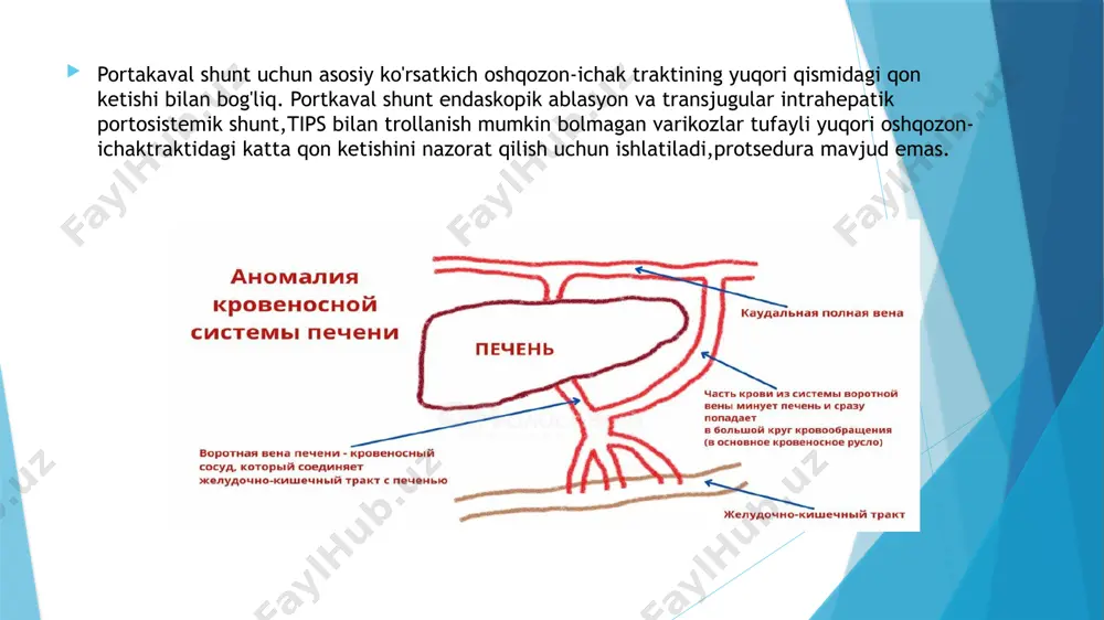 operativ xirurgiya va topografik anatomiya - Page 4