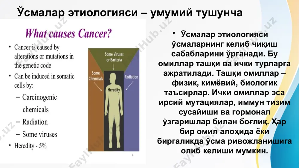 а қайта пайдо бўлади. ёмон сифатли ўсмалар эса тез ўсади, метастаз қилади, қўшни тўқималарни йўқ қилади ва кўпинча қайталанишга мойил. яхшилари ҳаёт учун хавфсиз, ёмонлари эса ҳаёт учун таҳдиддир. ҳавфли ўсмаларнинг умумий симптомлари ҳавфли ўсмаларда умумий симптомлар кузатилади: заифлик, иштаҳа пасайиши, оғирлик йўқотиш, субфебрил ҳарорат. бу ҳолатлар ўсма ҳужайралари чиқарган токсинлар ва метаболитлар таъсирида пайдо бўлади. шу билан бирга, иммун тизим реакцияси ҳам катта роль ўйнайди. умумий симптомлар кўп ҳолларда касалликнинг дастлабки белгиси бўлади. маҳаллий симптомлар маҳаллий симптомлар ўсманинг жойлашувига боғлиқ. масалан, ўпкадаги ўсма йўтал ва қон аралаш балғам чиқишига, ошқозондаги ўсма оғриқ ва дисфагияга, жигардаги ўсма эса сарғаюққа олиб келиши мумкин. инвазия сабабли қўшни тўқималар функцияси бузилади. шунинг учун ҳар бир органдаги симптомлар турлича намоён бўлади. патогенез – молекуляр жараёнлар ҳавфли ўсмалар патогенезида асосий роль генетик мутацияларга тегишли. онкогенларнинг активлашиши (масалан, ras, myc) ва ўсмани назорат қилувчи супрессор генларнинг инактивланиши (p53, rb) ҳужайрани чексиз бўлинишга олиб келади. шу билан …