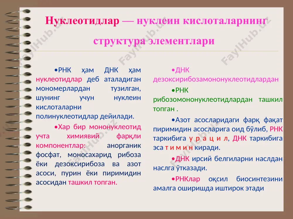 . www.arxiv.uz днкнинг структураси занжирлар бир бирига мос келиши учун бир жиякдаги пурин қаршисида иккинчи жиякда пиримидин асослари мос равишда жойлашади. бу комплементарлик принципи бўлиб, у муҳим умумбиологик аҳамиятга эга. бир занжирдаги аденин билан иккинчи занжирдаги тимин орасида 2та, гуанин билан цитозин орасида 3та водород боғлари ҳосил бўлади. днкнинг структураси хужайрада днк оқсил молекулалари билан бирикиб фазовий жойланиши унинг учламчи структураси дейилади. бундан ташқари, баъзи бактериал хужайраларда плазмидий деб аталадиган халқа шаклидаги цитоплазмада эркин яшайдиган днк молекулалари ҳам мавжуд. днкнинг таркиби ва структураси турли табиий манбалардан ажратиб олинган днқ ларнинг нуклеотид таркибини ўрганиш натижасида чаргафф қатор миқдорий қонуниятларни аниқлади. ҳозирги вақтда бу қонуниятлар чаргафф қоидаси деб юритилади: днқ молекуласидаги пурин асослари (а+г) моляр концентрациясининг йиғиндиси пиримидин асослари (ц+т) моляр концентрацияси йиғиндисига тенг; адениннинг моляр концентрацияси тиминникига, гуанинники цитозинникига тенг; днк занжиридаги 6-аминогруппали асослар миқдори 6-кето группали асослар миқдорига тенг, яъни аденин ва цитозин моляр концентрацияларининг йиғиндиси гуанин ва тимин моляр …