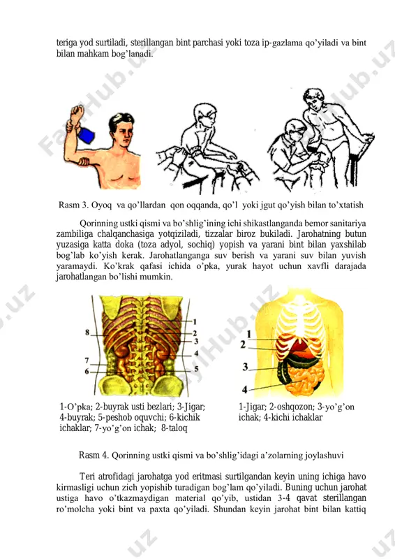 ; 3-yo’g’on ichak; 4-kichi ichaklar 1-o’pka; 2-buyrak usti bezlari; 3-jigar; 4-buyrak; 5-peshob oquvchi; 6-kichik ichaklar; 7-yo’g’on ichak; 8-taloq bog’lab qo’yiladi. issiqlik, kimyoviy yoki elektr manbalaridan jarohatlangalarga yordam ko’rsatish. kishi issiqlik, kimyoviy yoki elektr manbalaridan biror joyini kuydirib qo’ysa jarohatlangan joyni kaliy permanganat eritmasi yoki ichimlik sodaning 2% li eritmasi bilan ho’llash lozim. 2- va 3-darajali kuyishlarda terining shu joyiga kaliy permanganat eritmasi surtiladi, quruq sterillangan bog’lam qo’yiladi va darhol shifoxonaga yuboriladi. kimyoviy kuyishlarda, tananing kuygan qismini suv bilan kamida 20 daqiqa yuvish kerak. shundan keyin sodaning 2% li eritmasi yoki borat yoxud sirka kislotalarning 1% li eritmasi bilan ho’llangan nam bog’lam qo’yiladi. zaharli chang va gazlar bilan zaharlanganlarga yordam ko’rsatish. pestisidlar bilan zaharlanganda, jabrlanuvchini pestisid sepilgan daladan ochiq havoga olib chiqish va teriga tushgan bo’lsa, u holda terini suv oqimi bilan yuvish yoki artib tashlash lozim. agar pestisid organizmga, oshqozon-ichak yo’lidan o’tgan bo’lsa, qustirish uchun iliq suv yoki kuydirilgan magneziy …