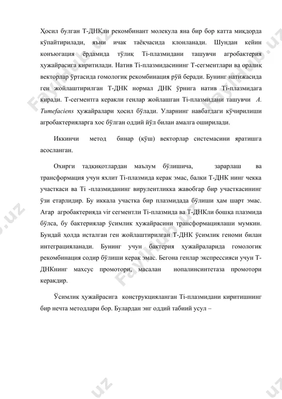 муҳитда фақатгина трансформацияланган ҳужайраларнинг колониялари ўсади. шундай усул билан тамаки ва петуниннинг трансформацияланган ўсимлик-регенерантлари олинган. охирги 10 йил мобайнида ташқи бозорда янги хусусиятларга эга бўлган трансген ўсимликлар чиқа бошлади. 1996 йили ақшда трансген ўсимликлар эгаллаган майдон 3 млн. акр бўлса, 2002 йилга бу майдон 80 млн акрга етди. асосий трансген ўсимликлар: жўҳори, соя, гербицид ва ҳашоротларга чидамли ғўзалардир. кундан-кунга аҳоли сони ортиб бораётгани сабабли инсоният олдида муҳим бир муаммо, озиқ-овқат маҳсулотларини ишлаб чиқариш масаласи турибди. яна бир муаммо, бу тиббий даволашдир. буларни трансген ўсимликлар яратиш билан ҳал қилиш мумкин. ген инженерлиги ёрдамида қишлоқ ҳўжалиги учун қуйидаги ўсимликлар яратиш учун таклифлар киритилган: 1. ҳашоротларга чидамли ўсимликларни яратиш. уларни яратиш учун ўсимликларнинг геномига basillus thuringiensis (бу микроорганизм ҳашоротлар организмида ривожланиб тангақанотлиларда касаллик келтириб чиқаради, одамларга таъсир қилмайди)дан ажратиб олинган токсин гени киритилади. токсинни синтез қиладиган ўсимликлар айрим зараркунандаларга нисбатан чидамли бўлади. буларнинг бари далаларда пестицидларни ишлатишни ва атроф-муҳит ифлосланишини камайтиради. 2. озиқ-овқат …