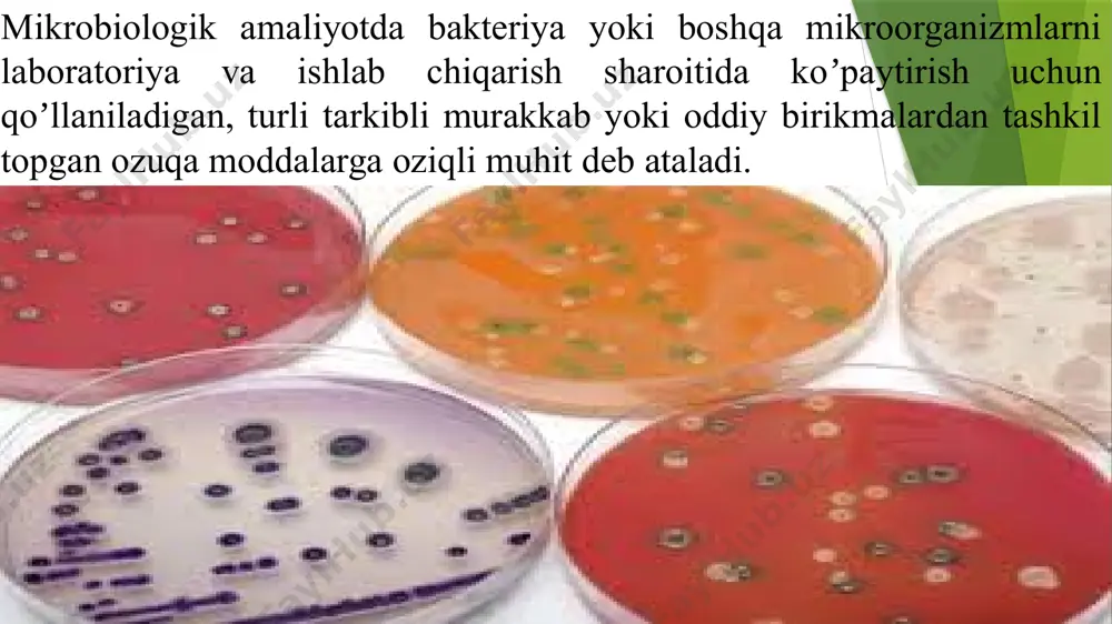 differentsial-diagnostik muhitlar tarkibiga quyidagi asosiy komponentlar kiradi: bakteriyalarning koʼpayishini taʼminlaydigan asosiy organik, noorganik birikmalar, kazein gidrolizati, pepton va bosh. rangli indikator (masalan, аndrede, bromtimol koʼki, bromkrezol purpur, krezol qizil indikatori), rangining oʼzgarishi sodir boʼlayotgan biokimyoviy reaktsiyadan va tekshirilayotgan mikroorganizmda ushbu fermentlar borligidan dalolat beradi. qoʼshimcha maʼlum kimyoviy substrat ularning parchalanishi oqibatida muhitni rn nordon (uglevodlar, mochevina) yoki ishqoriy (oqsillar parchalanishida) tomonga oʼzgaradi hamma differentsial-diagnostik muhitlar 4 ta asosiy guruhga boʼlinadi. tarkibida oqsil tutuvchi, bakteriyalar fermentlari taʼsirida xarakterli oʼzgaruvchi muhitlar (qon, jelatina, sut va bosh.). tarkibida uglevodlar, koʼp atomli spirtlar tutuvchi indikatorli muhitlar. bu muhitlarda bakteriyalar uglevodlari parchalashi oqibatida kislotalar va gaz hosil boʼladi, muhitning rn nordon tomonga siljiydi va indikator muhit rangini oʼzgartiradi. bakteriyalar tomonidan maʼlum moddalarni parchalashini, tiklanishini (redutsiruyushie) oʼrganuvchi muhitlar (metilen koʼki qoʼshilgan sutli muhit, nitratli muhit). bakteriyalar tomonidan maʼlum moddalarni oʼzlashtira (assimilatsiya) olishini aniqlovchi muhitlar. аmaliyotda eng koʼp sitratli agar (simmons muhiti) qoʼllaniladi. m murakkab muhitlar: maxsus …