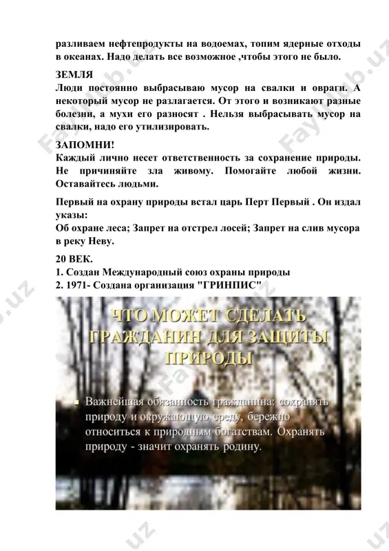 vtorostepennye chleny predlozheniya. opyt raboty. - Page 5