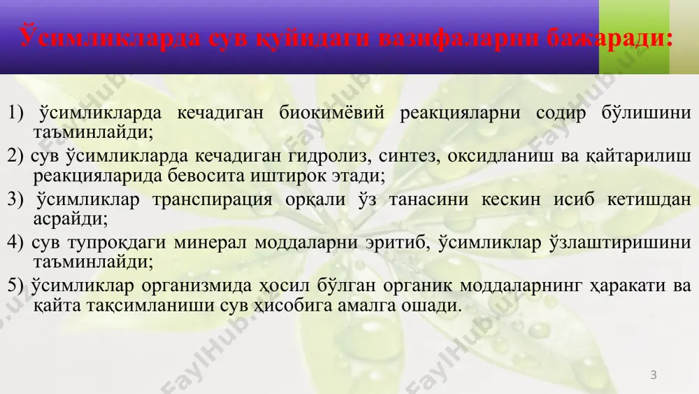 сувнинг буғланиши (транспирация). ўсимлик танасида сув доимий ва узлуксиз алмашиниб туради. 11 илдиз тукчалари шимиган сувнинг бир ҳужайрадан иккинчисига томон бир тарафлама ҳаракатланиши ҳужайра-ларнинг сўриш кучига боғлиқ. қабул қилинган сувнинг поядаги ўтказувчи найларга ўтиши шу найлардаги эритма концентрациясига боғлиқ. бу эритма қанча кучли бўлса, қабул қилинган сув шунча тез сўрилади. маълум куч воситасида сувнинг найлар орқали юқорига қараб ҳаракатланиши илдиз босим кучи деб аталади. 12 сув ва унда эриган моддаларнинг илдиздан юқорига қараб ҳаракатланишига илдиз босим кучидан ташқари бошқа кучлар ҳам иштирок этади: а) барг ҳужайраларининг шимиш кучи - унинг воситасида баланд ўсган дарахтлар тупроқдаги сувни осон шимиб олади. б) сув молекулалари ўртасидаги илашиш-боғланиш кучи - бу куч 300-350 атм босим кучига эга бўлиб, сув йўллари узилиб қолишининг олдини олади; в) ўтказувчи капилярлар найларнинг тортиш кучи - сув тасмасининг узилиб кетишига тўсқинлик қилади. ўсимликлар ўтказувчи найларида сувнинг ҳаракатланиш тезлиги жуда секин бўлса-да, бир соатда у бир неча метр масофани ўта …