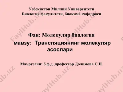 translyatsiyaning molekulyar asoslari — PPT