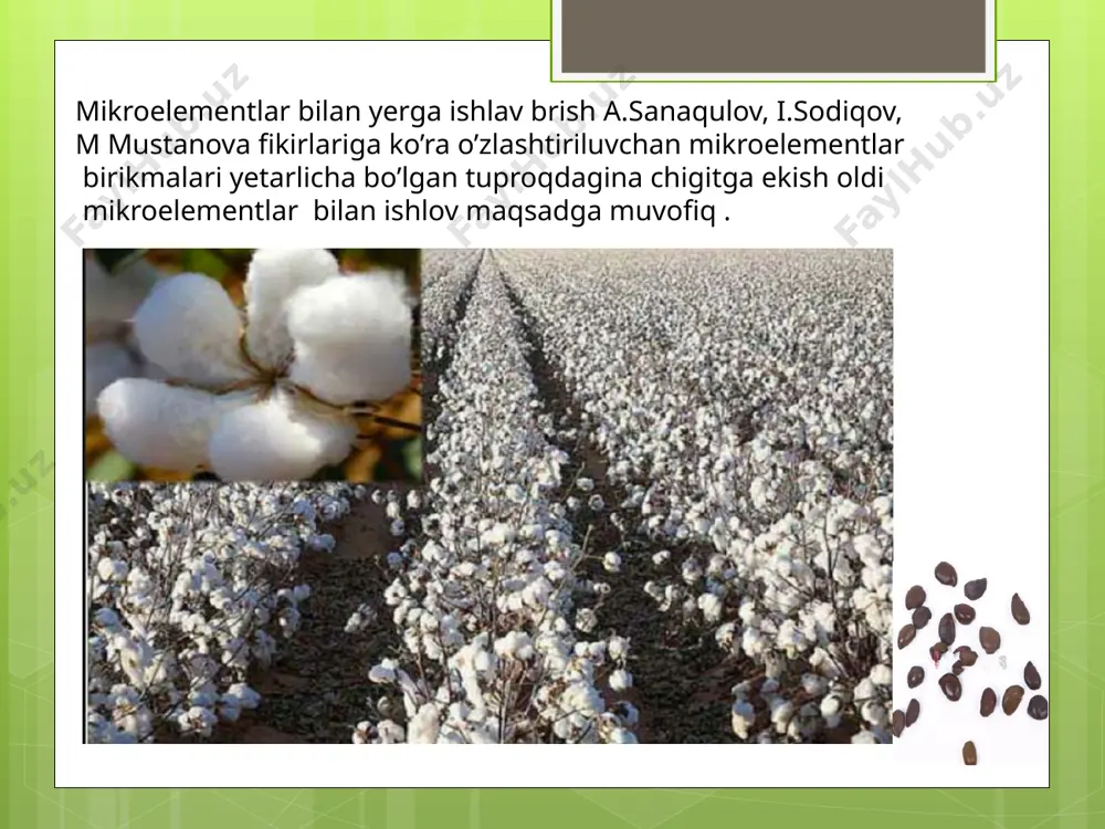 mikroelementlar va ularning fiziologik ahamiyati - Page 5