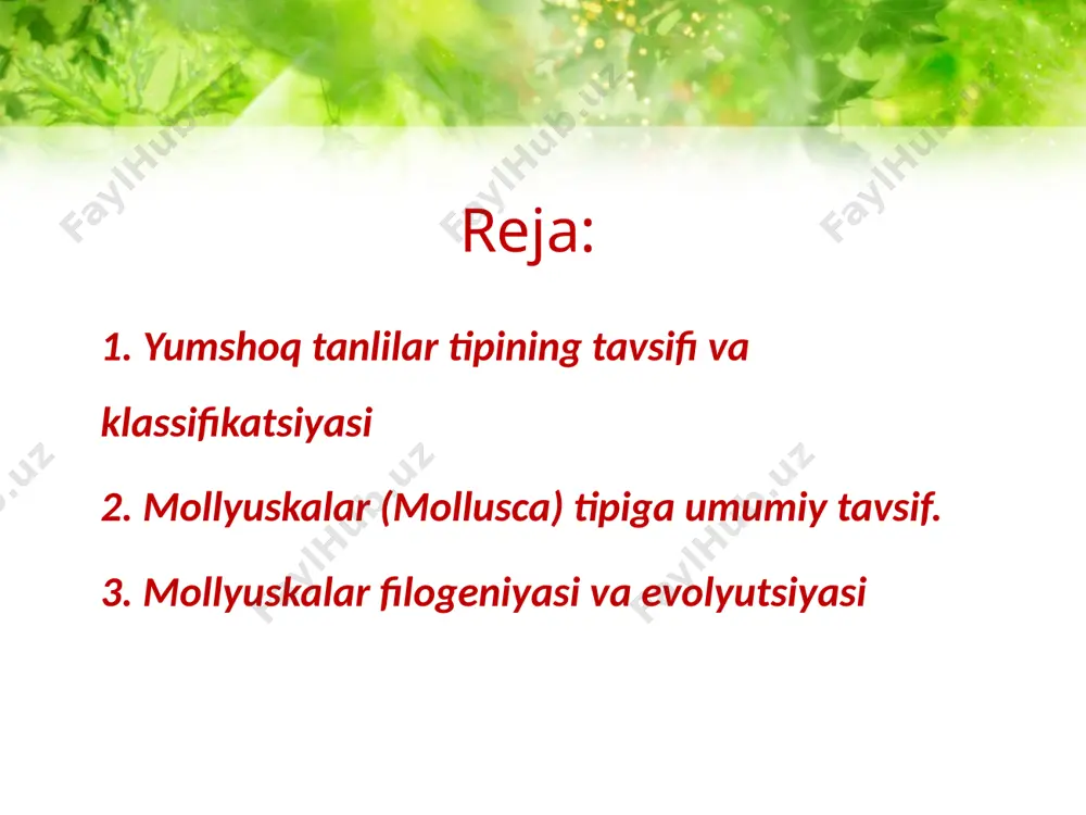nney klassifikatsiyasi bo‘yicha 7 ta sinfga bo‘linadi. 7. scaphopoda sinfi - kurakoyoqli mollyuskalar. 1. aplacophora sinfi. 2. xitonlar polyplacophora sinfi. 3. monoplacophora sinfi. 4. gastropoda sinfi - qorinoyoqlilar mollyuskalar. 5. cephalopoda sinfi - boshoyoqli mollyuskalar. 6. bivalvia sinfi - ikki pallali mollyuskalar. aplakoforalar – chuvalchangsimon dengiz moluskalari bo’lib, 300 dan ortiq turi bor. kattaligi ko’pgina turlarining o’rtacha 5 mm dan oshmaydi. ayrim turlari uzunligi 30 sm gacha boradi.tanasida chig’anoq o’rnida ohakli snikula bilan qoplangan. slindirsimon chuvalchangsimon gavdasida oyoqlar reduksiyalashgan. dengiz tubida 200 metrdan 7000 metr chuqurlikkacha uchraydi. substratga chala qo’shilgan holda yashaydi. bioekalogiyasi yaxshi o’rganilmagan. xitonlar yoki pansirli mollyuskalarni birlashtiradi. suv ostidagi qattiq substratga yopishib yashaydi. chig’anog’i 8 ta yonma - yon joylashgan. yassi plastinkalardan tuzilgan muskulli oyog’i keng va yupqa shaklda. bu substratga maxkam yopishish uchun hizmat qiladi. hozirgi paytda 800 ta turi uchraydi. ichki organlari tuzilishi tipik mollyuskalarga xos. xitonlarni ko’pchilgi toshlarga yopishgan holda yashaydi, suv o’tlari va …