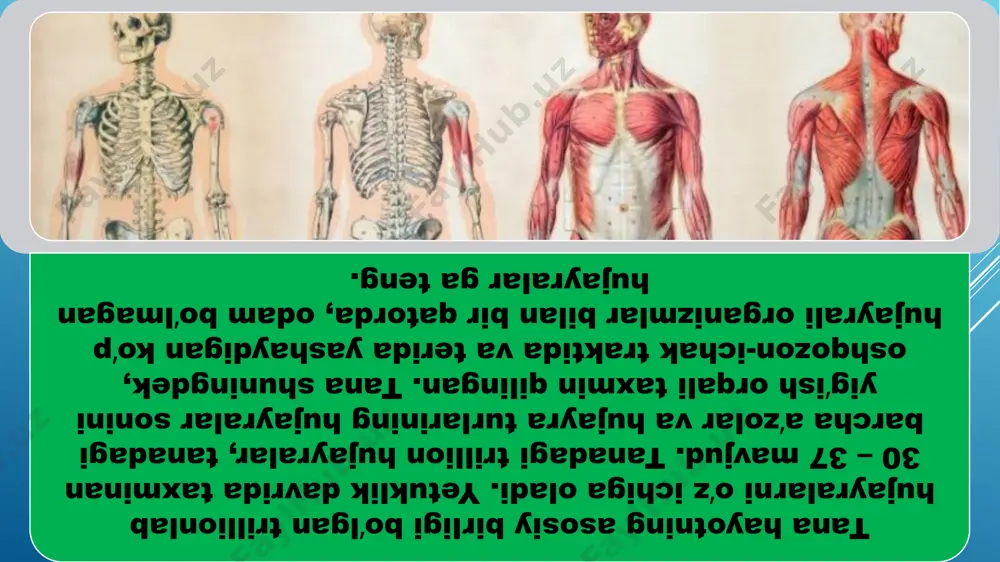 outs/_rels/slidelayout11.xml.rels ppt/slidelayouts/_rels/slidelayout12.xml.rels ppt/slidelayouts/_rels/slidelayout13.xml.rels ppt/slidelayouts/_rels/slidelayout14.xml.rels ppt/slidelayouts/_rels/slidelayout15.xml.rels ppt/slidelayouts/_rels/slidelayout16.xml.rels ppt/slidelayouts/_rels/slidelayout17.xml.rels ppt/slidelayouts/_rels/slidelayout2.xml.rels ppt/slidelayouts/_rels/slidelayout3.xml.rels ppt/slidelayouts/_rels/slidelayout4.xml.rels ppt/slidelayouts/_rels/slidelayout5.xml.rels ppt/slidelayouts/_rels/slidelayout6.xml.rels ppt/slidelayouts/_rels/slidelayout7.xml.rels ppt/slidelayouts/_rels/slidelayout8.xml.rels ppt/slidelayouts/_rels/slidelayout9.xml.rels ppt/slidemasters/_rels/slidemaster1.xml.rels ppt/slides/_rels/slide1.xml.rels ppt/slides/_rels/slide10.xml.rels ppt/slides/_rels/slide11.xml.rels ppt/slides/_rels/slide12.xml.rels ppt/slides/_rels/slide13.xml.rels ppt/slides/_rels/slide14.xml.rels ppt/slides/_rels/slide15.xml.rels ppt/slides/_rels/slide16.xml.rels ppt/slides/_rels/slide17.xml.rels ppt/slides/_rels/slide18.xml.rels ppt/slides/_rels/slide19.xml.rels ppt/slides/_rels/slide2.xml.rels ppt/slides/_rels/slide20.xml.rels ppt/slides/_rels/slide3.xml.rels ppt/slides/_rels/slide4.xml.rels ppt/slides/_rels/slide5.xml.rels ppt/slides/_rels/slide6.xml.rels ppt/slides/_rels/slide7.xml.rels ppt/slides/_rels/slide8.xml.rels ppt/slides/_rels/slide9.xml.rels [content_types].xml obrazets zagolovka obrazets podzagolovka obrazets zagolovka obrazets teksta vtoroy uroven tretiy uroven chetvertiy uroven pyatiy uroven obrazets zagolovka obrazets teksta obrazets zagolovka obrazets teksta vtoroy uroven tretiy uroven chetvertiy uroven pyatiy uroven obrazets teksta vtoroy uroven tretiy uroven chetvertiy uroven pyatiy uroven obrazets zagolovka obrazets teksta obrazets teksta vtoroy uroven tretiy uroven chetvertiy uroven pyatiy uroven obrazets teksta obrazets teksta vtoroy uroven tretiy uroven chetvertiy uroven pyatiy uroven obrazets zagolovka obrazets zagolovka obrazets te