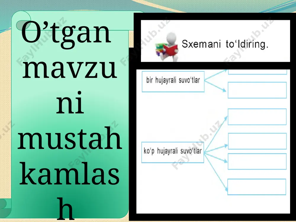 li o’simliklar yopiq urug’li o’simliklar , o’simliklar dunyosida eng yosh va keng tarqalgan organizmlar hisoblanadi.yopiq urug’li o’simliklar ning urug’i ,o’simliklarning urug’ meva ichida yopiq holda yetiladi.ular gul hosil qilgani uchun gulli o’simliklar deb nomlanadi.bu bo’limga kiruvchi o’simliklarga daraxt ,buta va o’t ko’rinishida bo’lishi mumkin.gulli o’simliklarga daraxtlardan o’rik, terak : butalardan anor ,limon o’tlardan qoqi, bug’doy kabi o’simliklarni kiritish mumkin. o’rik erta bahorda gullaydigan o’simlik .dastlab gul keyin barg kurtaklarini yozadi.bargi oddiy tuxumsimon shaklda .dastlabki tukkan mevasi dovuchcha vitaminga boy bo’lib istemol qilinadi. pishgan mevasi yurakni quvvatlashtirishda qonni suyultirishda katta ahamiyatga ega.quritilgan mevasi turshak holida ham istemol qilinadi .b vitaminiga boy aqliy faoliyatni yaxshilaydi . terak uzunligi 30 -45 m bargi oddiy tuxumsimon poyasi tik va tez o’suvchi .avval gullab so’ng barg yozadi.mevasi uchma meva allergiya chiqarish xususiyatiga ega .terak yog’ochbop o’simlik asosan uy joy qurilishda foydalaniladi .chang va shovqinni yaxshi yutadi . terak – hayotiy shakliga ko’ra daraxt hisoblanadi . …