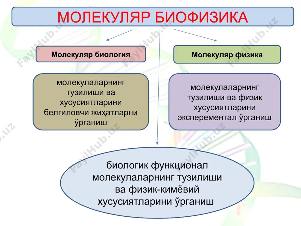 ртасида юзага келади. (таъсирлашиш энергияси гуруҳларнинг ионлашиш потенциали, қутбланувчанлиги ҳамдатаъсирлашувчи гуруҳлар орасидаги масофага боғлиқ) 4-40 кдж/мол -1 дипол- дипол таъсирлашиш - доимий дипол моментига эга иккита қутбли гуруҳлар ўртасида юзага келади. (энергияси гуруҳлар дипон моменти, муҳит диэлектр доимийси ва улараро масофага боғлиқ бўлади). дипол-индуксияланган дипол таъсирлашиш -доимий дипол гуруҳ билан дипол бўлмаган, қутбсиз гуруҳ ўртасида индукцияланиб юзага келади. (энергияси дипон момент, қутбланувчанлик, муҳит диэлектр доимийси ва улар аро масофага боғлиқ бўлади). сўнгги икки таъсирлашишлар энергияси 0,4-4 кдж/мол-1 катталиклари билан характерланади. polimer zanjirining asosiy ketma-ketligi yoki birlamchi strukturasi (oqsil zanjirdagi aminokislotalar, nuklein kislotalar zanjirdagi nukleotidlar) kimyoviy yoki valent o’zaro ta’sirlar bilan aniqlanadi, bundan tashqari molekulalar orasida kuchsiz kovalent kuchlar ta’sir etadi. vodorod bog’lanishda bitta molekulaning vodorod atomi bilan boshqa molekuladagi elektromanfiy o, n, f, cl atomlar orasidagi bog’lanishga aytiladi. vodorod bog’lanish tabiati murakkab bo’lib, faqatgina elektrostatik tortishishdan iborat bo’lmaydi. energiyasi 10-40 kj/mol oraliqda bo’ladi. co- va nh-guruhlar orasida vodorod bog’lanishlari hosil …