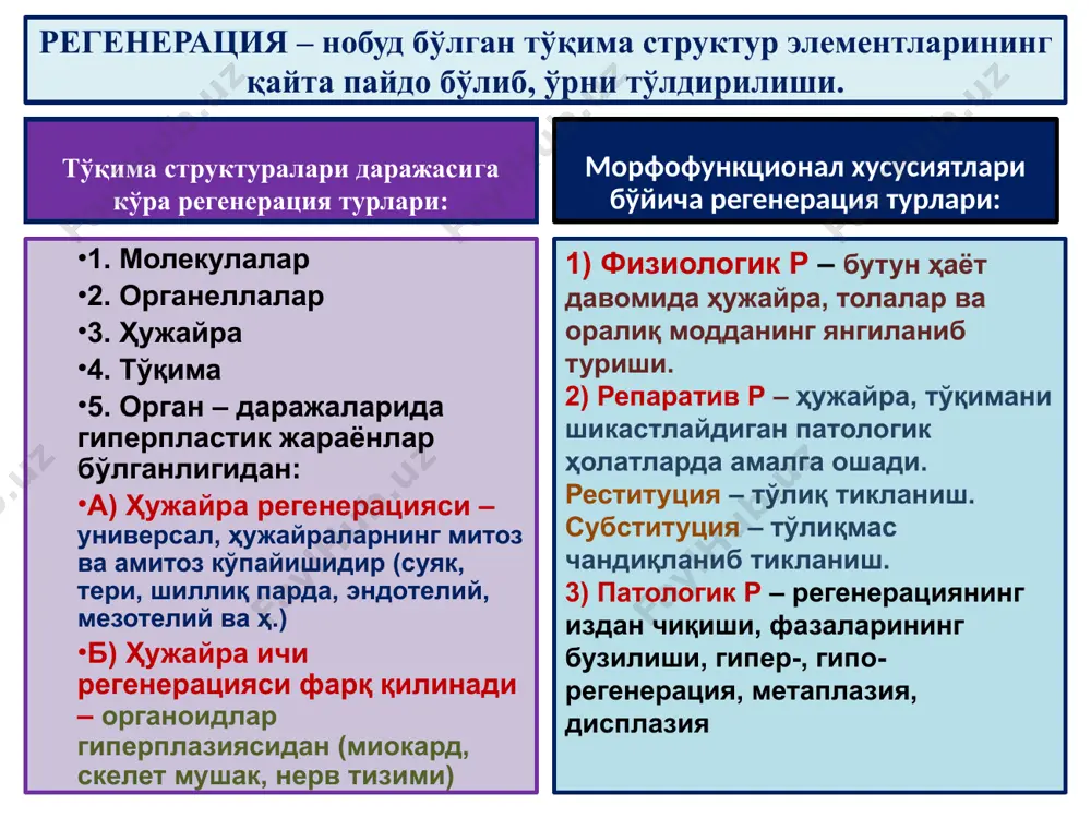 атли призматик эпителийнинг кўп қаватли ясси эпителийга айланиши (суринкали бронхит, бронхоэктазия) (а витамин етишмаслигида – сўлак бези, меъда ости бези, простата чиқарув найлари эпителийси). кўп қаватли ясси эпителийнинг бир қаватли призматик эпителийга айланиши (бачадон бўйни сохта эрозияси). меъда қопловчи эпителийсида қадоҳсимон ҳужайранинг пайдо бўлиши (суринкали гастритда). чандиқ ўчоқларида бириктирувчи тўқиманинг тоғай ва суяк тўқимасига айланиши. бронх қопловчи призматик эпителийсининг ясси эпителийга айланиши меъда шиллиқ пардасида қадоҳсимон ҳужайра пайдо бўлиши метаплазия ва дисплазия image1.jpeg image2.jpeg image3.jpeg image4.png image5.jpeg image6.jpeg image7.jpeg image8.png image9.png image10.png image11.jpeg image12.png image13.jpeg image14.png