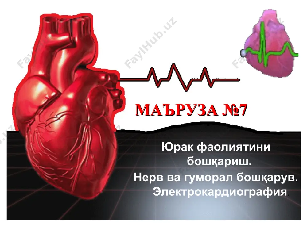 3. интрамурал ганглийлар 4. эфферент йўл 5. кардиомиоцит аҳамияти: юрак турли бўлимларининг фаолиятини ишини таъминлаш артериал тизимнинг қон билан таъминланишини керакли даражада ушлаб туриш. юрак ишининг юрак ичи бошқаруви франк-старлинг қонуни – диастола пайтида кардиомиоцитлар қанчалик чўзилса, систола вақтида қисқариш шунча кучли бўлади. экстракардиал бошқарув: нерв (рефлектор) – адашган ва симпатик нерв таъсири. адашган нервнинг 1-нчи нейрони узунчоқ мияда бошланиб, юрак деворида интрамурал ганглий ҳосил қилади. 2-нчи нейрон постганглионар тола ҳосил қилиб, юрак ишини бошқаради. симпатик нервнинг 1-нчи нейрони 5 та кўкрак сегментининг ён шохларида бошланиб, бўйин ва юқори кўкрак симпатик тугунларида тугайди. шу ердан 2-нчи нейрон бошланади ва юракка боради 2. гуморал – гормонлар (адреналин, тироксин), ионлар (калий, кальций), метаболизм маҳсулотлари (сут ва кўмир кислотаси), қон ҳарорати. юрак ишининг экстракардиал бошқаруви нерв бошқаруви таъсир таъсир этадиган хоссаси: хронотроп юрак қисқаришлари сони инотроп юрак қисқаришлари кучи дромотроп ўтказувчанлик батмотроп юрак мушагининг қўзғалувчанлиги юрак ишининг нерв бошқаруви юрак қисқаришлари сонининг ортиши …
