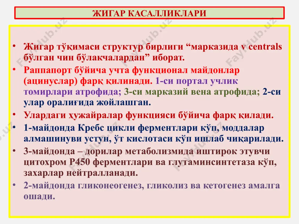 оз сабаблари: сурункали гепатит, ёғли гепатоз, алкоголли гепатит, токсик гепатит. морфологияси: жигар атрофияланиб кичиклашган, майда бўлакли (1 см), ранги оқ-сариқ, қаттиқ. постнекротик цирроз – йириктугунли, деформацияли сабаблари: ўткир вирусли гепатит, токсик дистрофия морфологияси: деформацияланган, йирик бўлакли (3 см), ранги оч-жигарранг, кулранг. билиар цирроз – бирламчи ва иккиламчи аралаш цирроз сабаблари: ўт-тош касаллиги, ўсмалар, чандиқлар морфологияси: катталашган, тўқ яшил, аралаш тугунли жигар циррози турлари 1) жигар комаси, энцефалопатия. 2) қизилўнгач ва меъда шиллиқ ости веналари варикоз кенгайиши ва қон кетиши, ўткир постгеморрагик анемия, геморрагик шок. 3) асцит, унинг перитонитга ўтиши. 4) дарвоза венасининг тромбози. 5) циррознинг ракга малигнизацияланиши. жигар циррози асоратлари жигар раки олди жараёнлари: вирусли гепатит с, цирроз, алкоголизм, описторхоз. макроскопик турлари: 1) тугунли, массив, уницентрик рак; 2) кўп тугунли, мультицентрик рак; 3) диффуз рак – “цирроз-рак” микроскопик турлари: 1) гепатоцеллюляр – жигар ҳужайрали рак; 2) холангиоцеллюляр – ўт йўли эпителийси раки; 3) гепато-холангиоцеллюляр – аралаш ҳужайрали рак. метастазланиши: 1) …