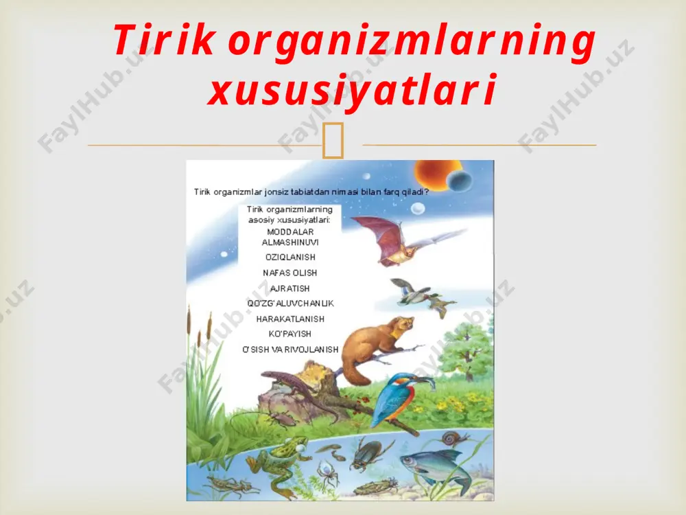 an mimoza barglariga qo'l tekkizilganda, barglari yumiladi 5. ta'sirlanish - tirik organizmga biror narsa bilan ta'sir o'tkazilsa, qochish, qisqarish bilan javob qaytaradi.  ko'pchilik hayvonlar faol bo'lib, tez yugurish (yoki yurish, uchish) orqali dushmandan qochadi yoki ozuqa ko'p joyga boradi; o'simliklarda passiv, barglarini yorug'likka intilishi, kungaboqar gulining quyoshga burilishi ko'rinishida namoyon bo'ladi. 6. harakatlanish  jinssiz ko'payish bitta organizm ishtirokida boradi. u ikkiga bo'linishi, kurtaklanishi yoki sporalar yordamida ko'payishi mumkin. jinsiy ko'payishda ikkita organizm ishtirok etadi, irsiy axborot almashinadi. jinsiy ko'payishda ishtirok etuvchi hujayralar gametalar deyiladi. 7. ko'payish - tirik organizmning o'zidan nasl qoldirishi bo'lib, bu jinssiz va jinsiy usulda amalga oshadi.  o'sish - bu tuzilishini saqlagan holda miqdor jihatdan ortish, rivojlanish esa sifat jihatdan o'zgarishdir. masalan, urug'dan ekilgan o'simlik kattalashib boradi, ya'ni o'sadi. shu bilan birga o'zgarib poyasi yo'g'onlashadi, barglari yoziladi va gullab meva beradi, ya'ni rivojlanadi. 8. o'sish va rivojlanish - har qanday tirik organizm o'sadi va …